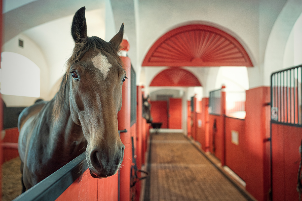 Jízdárna Kinských foto 4