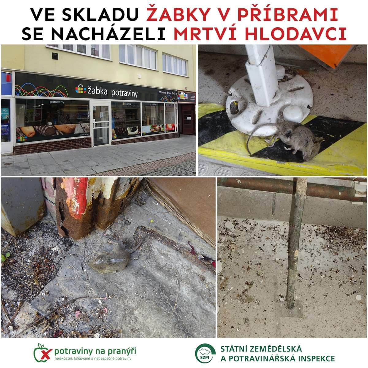 Žabka foto 2