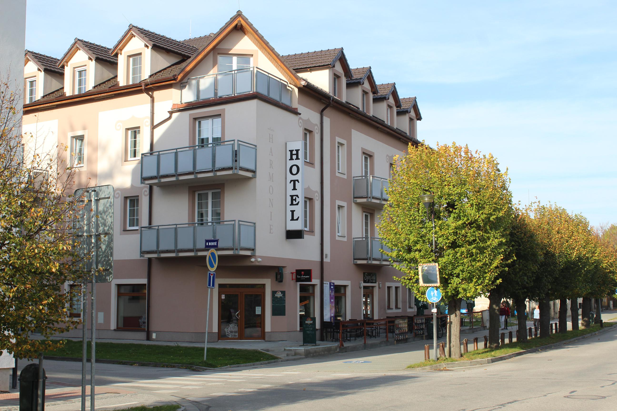Welness Hotel Harmonie foto 2