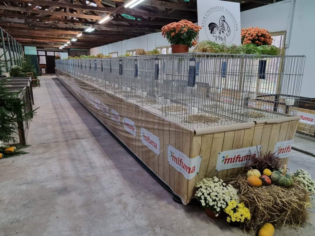 Klub chovatelů drůbeže vyandotek, z.s. foto 2