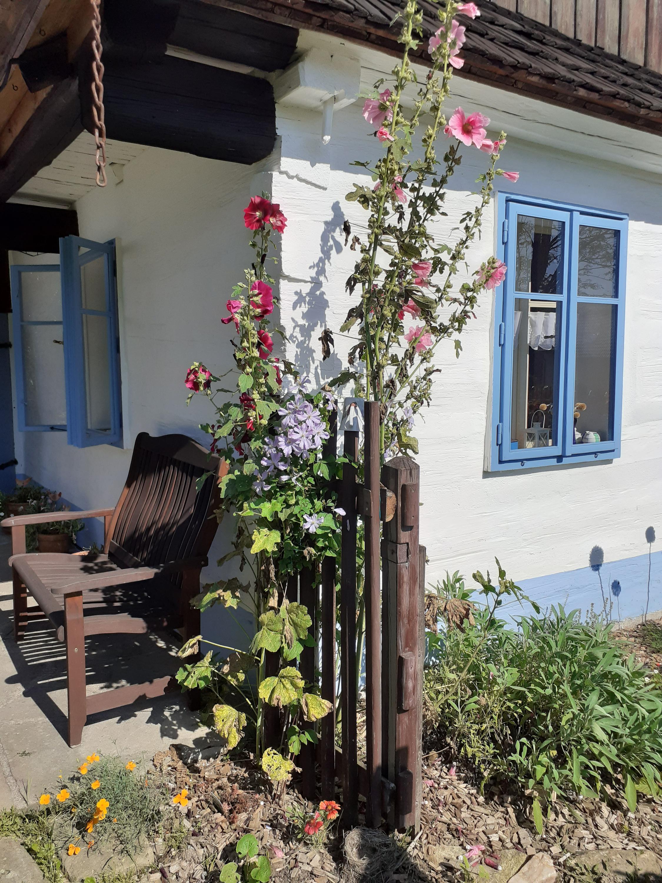 Roubenka V pohádce foto 5