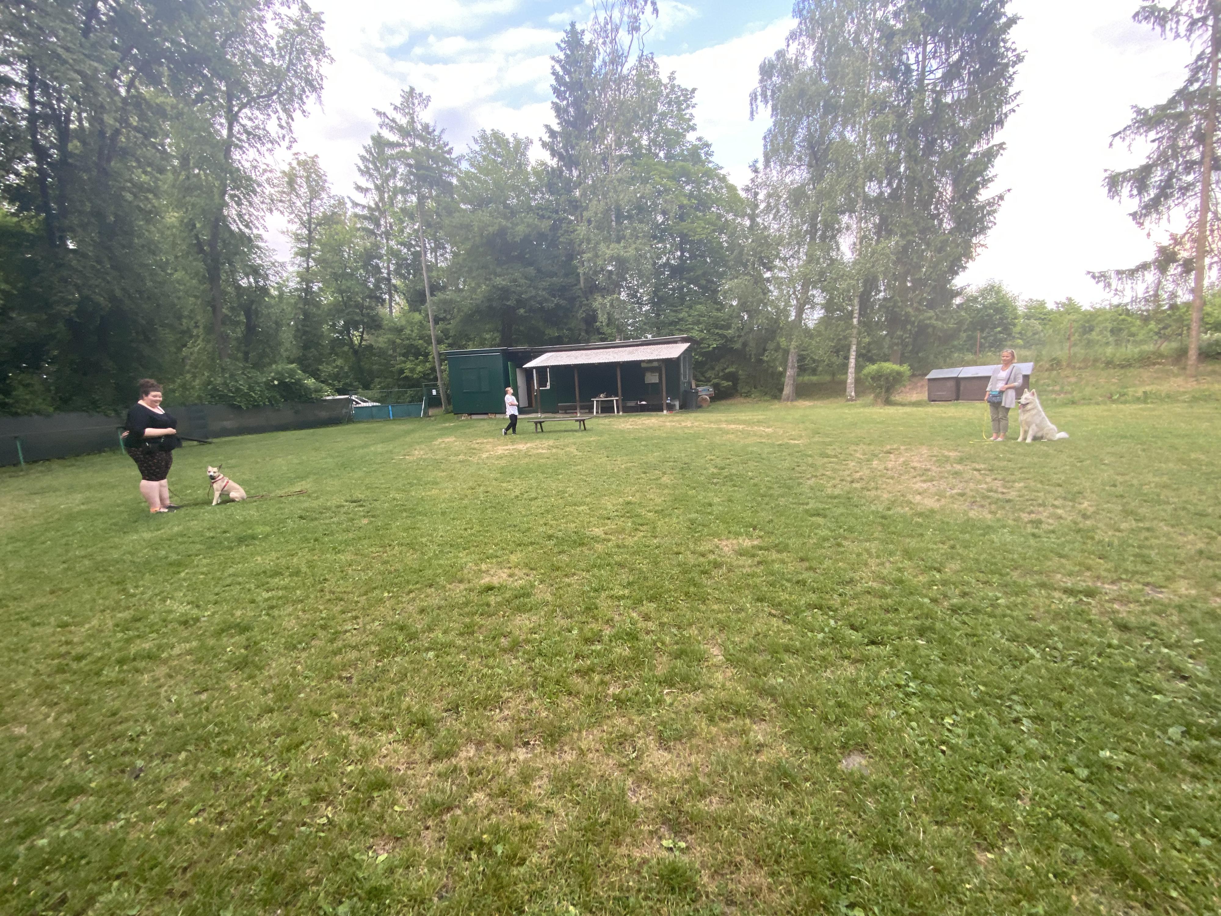 Výchova psů Evgeniya Karlova foto 4