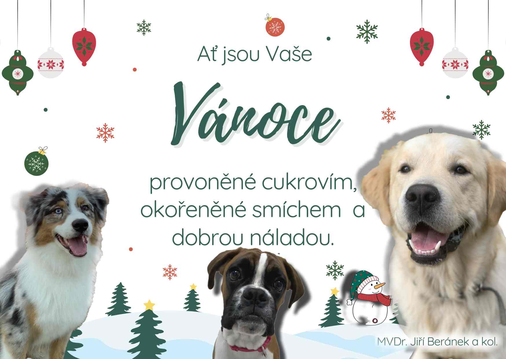 Veterinární klinika MVDr. Jiří Beránek foto 2