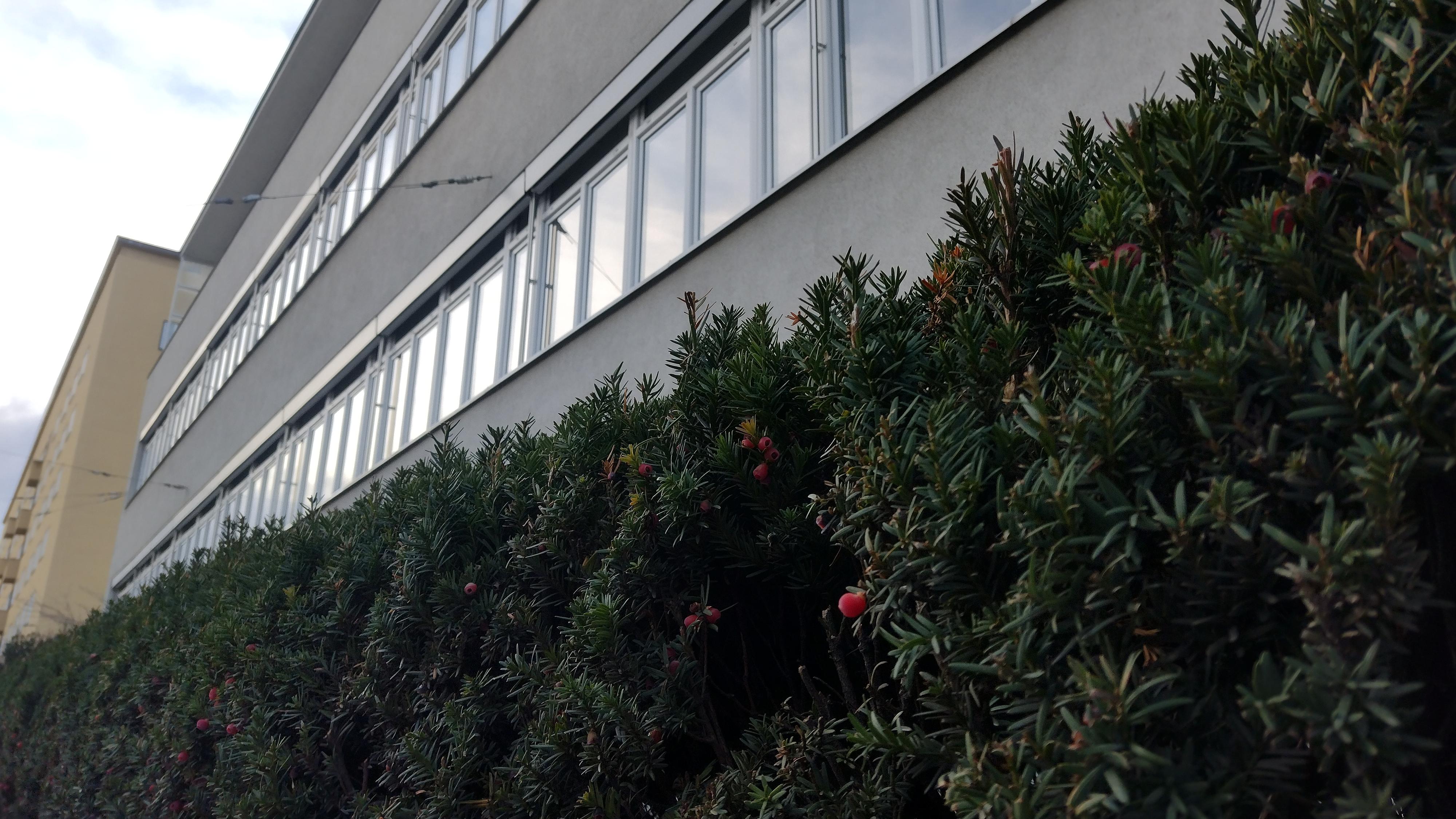 Střední zdravotnická škola a Vyšší odborná škola zdravotnická Brno, Merhautova foto 6