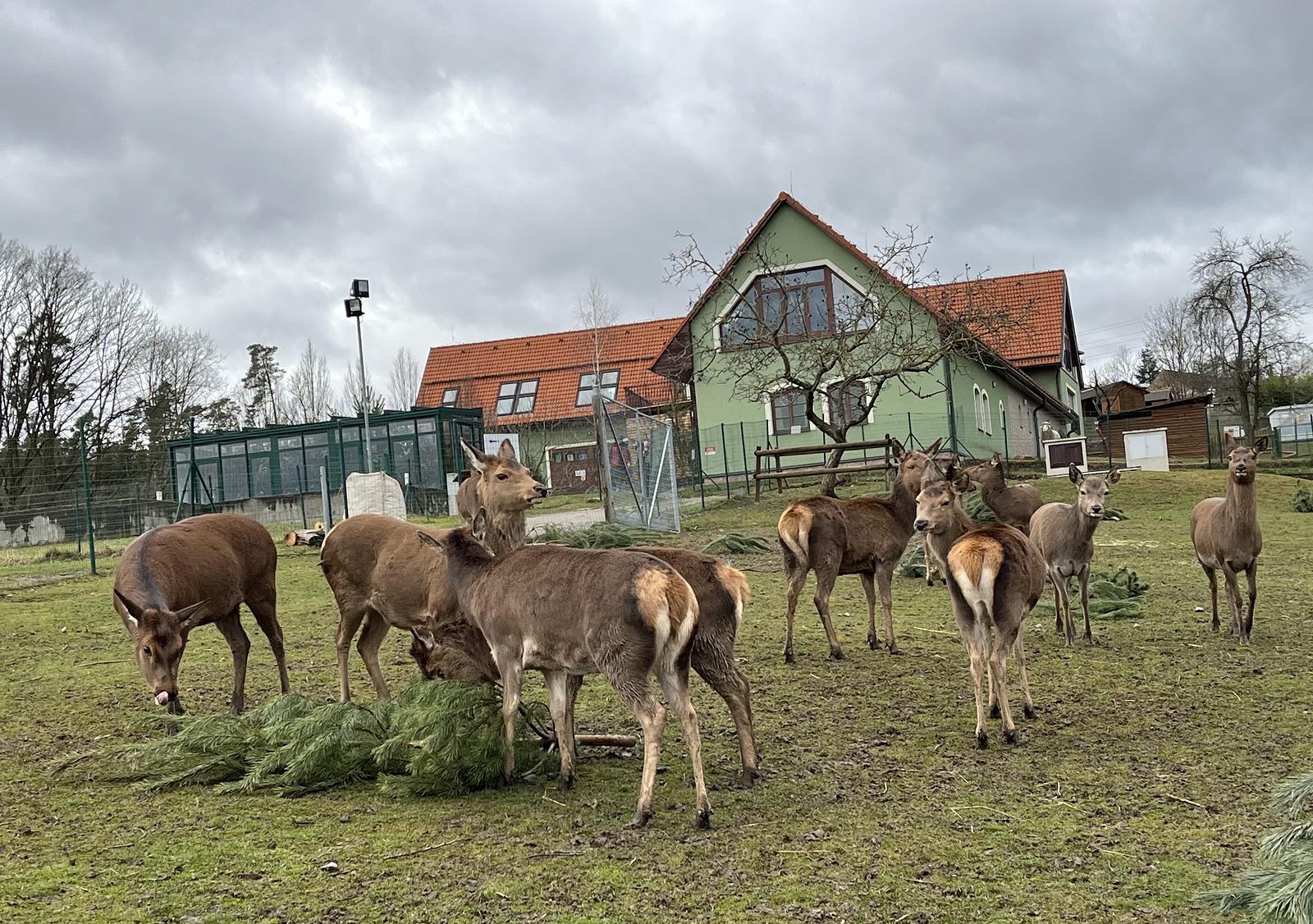 ZOO Tábor foto 5