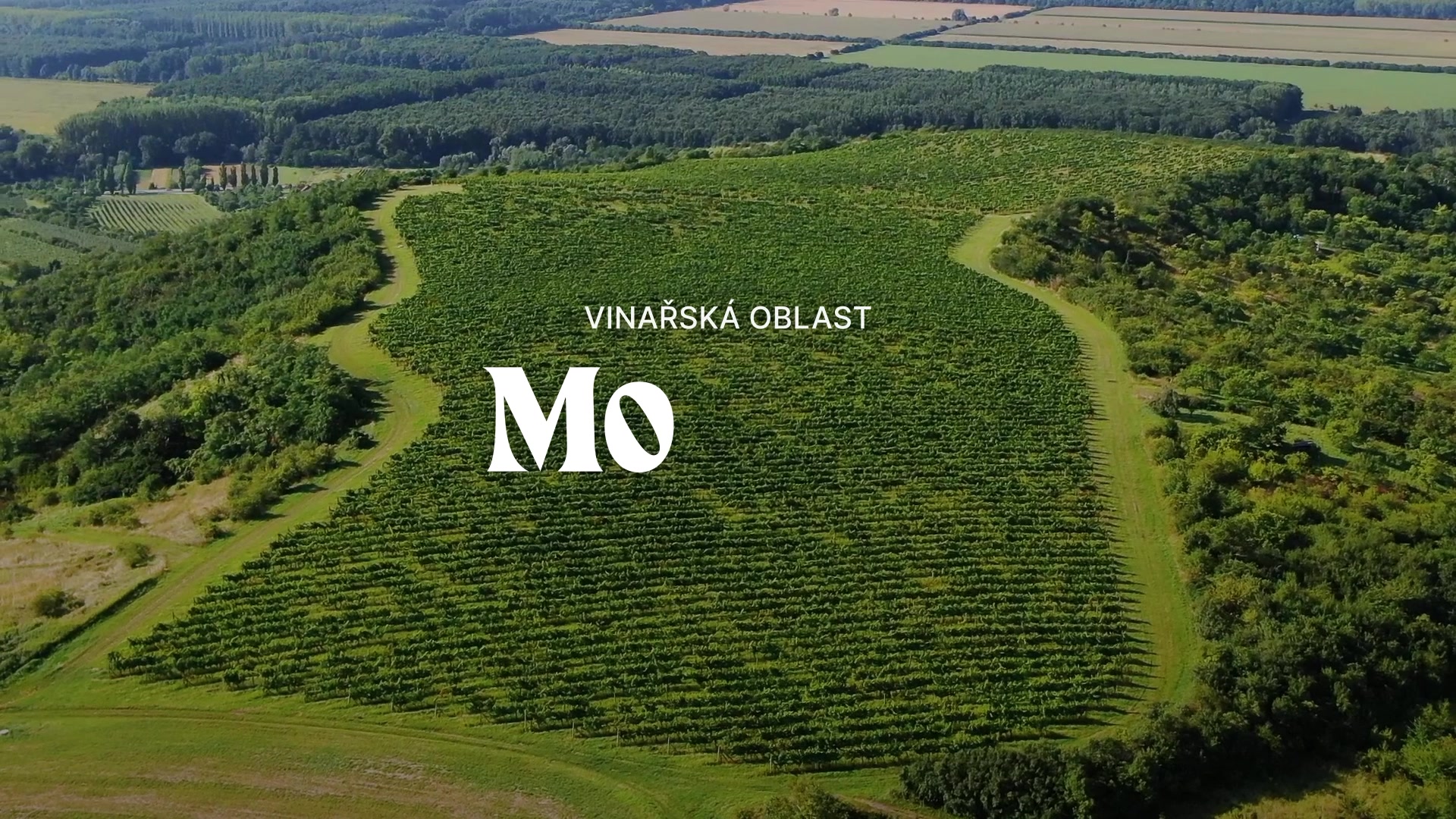 Znovín Znojmo - Ochutnávkový stánek foto 2 (náhled videa)