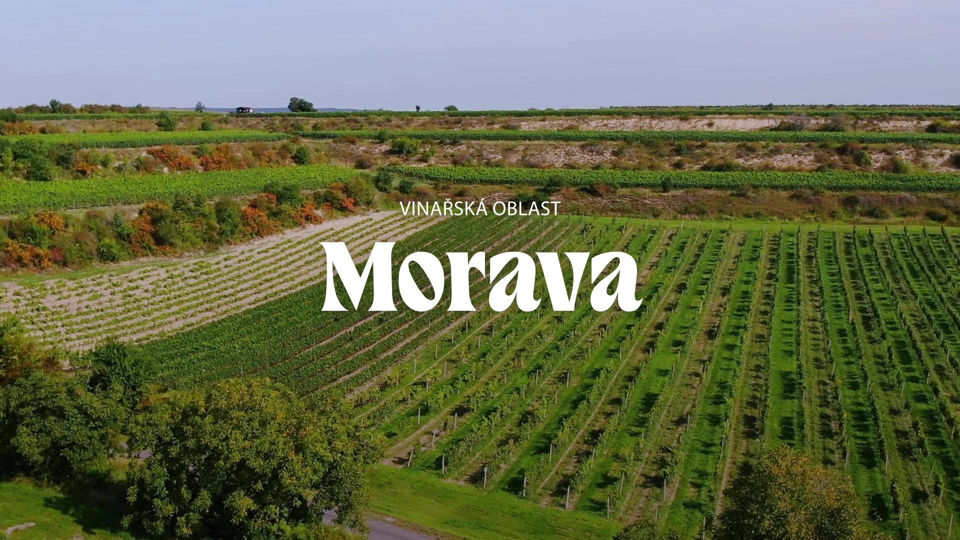 Znovín Znojmo - ochutnávkový stánek Peklo, Šatov foto 2 (náhled videa)