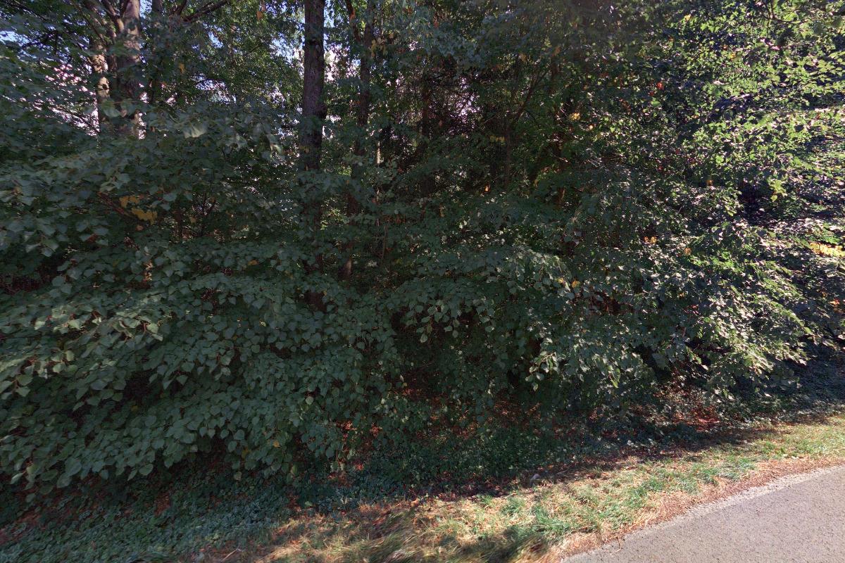 Chata ZO OSD Chrudim