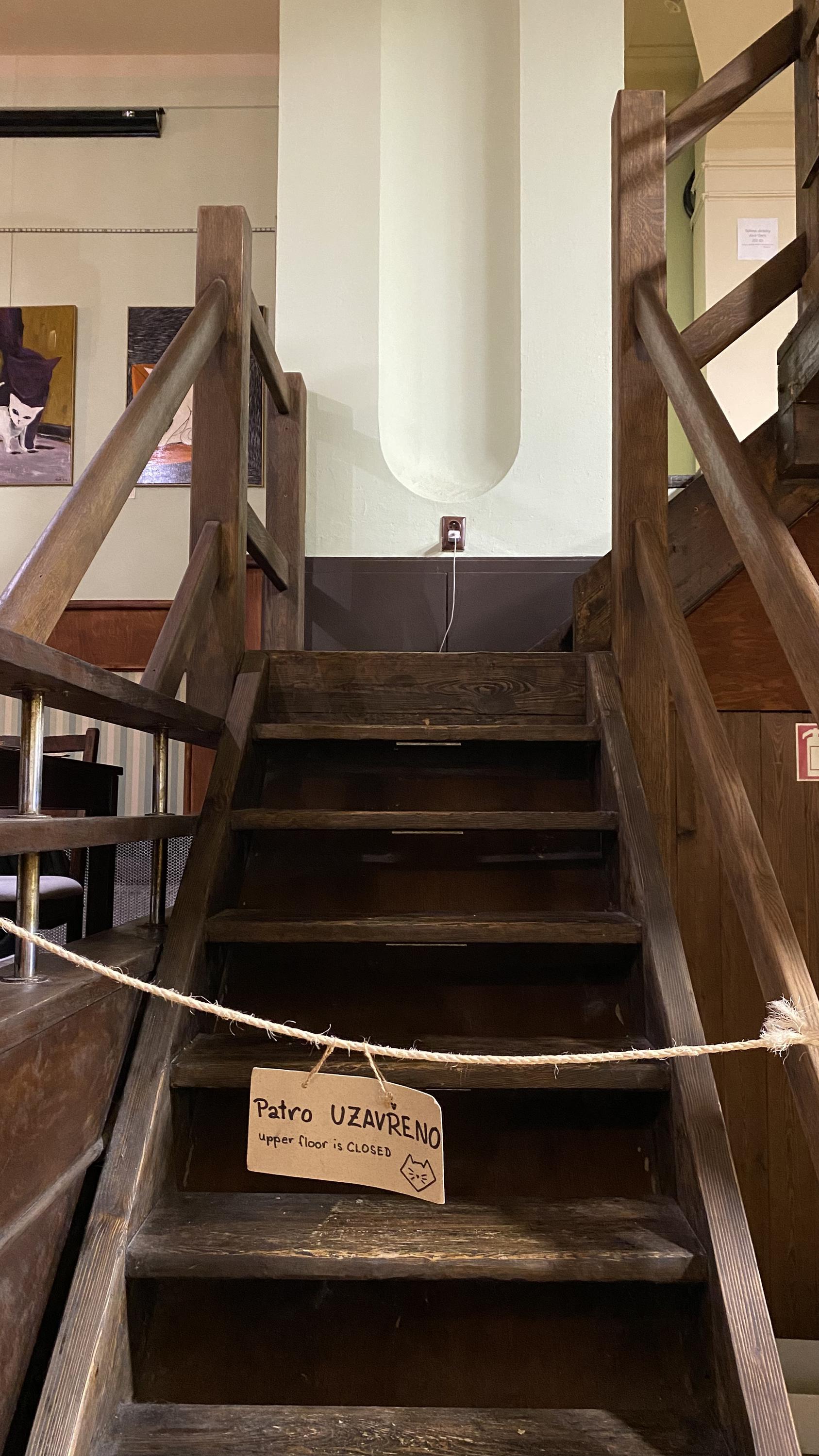 Kočkafé Schrödinger foto 6