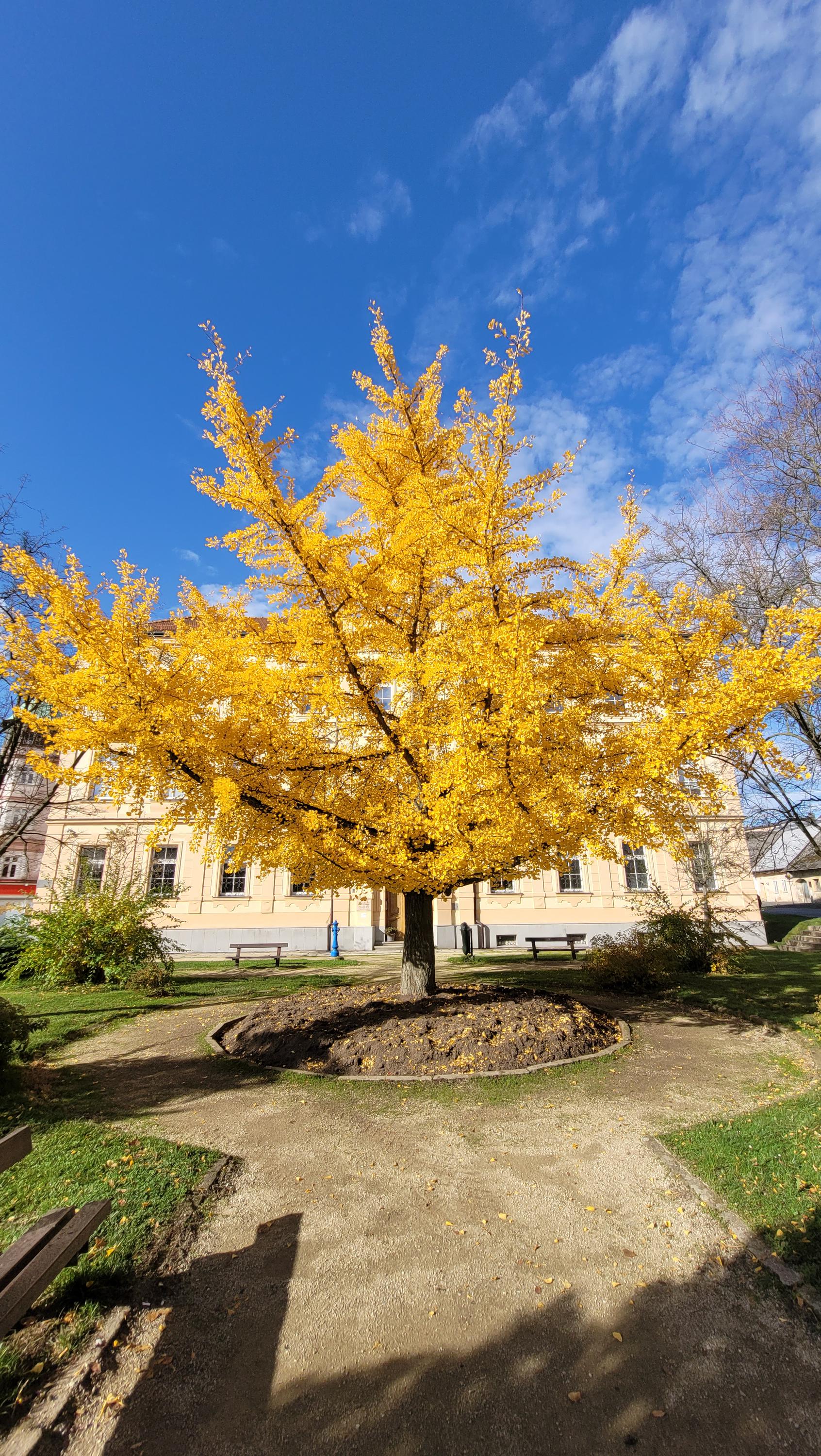 Muzeum Jindřicha Jindřicha foto 6
