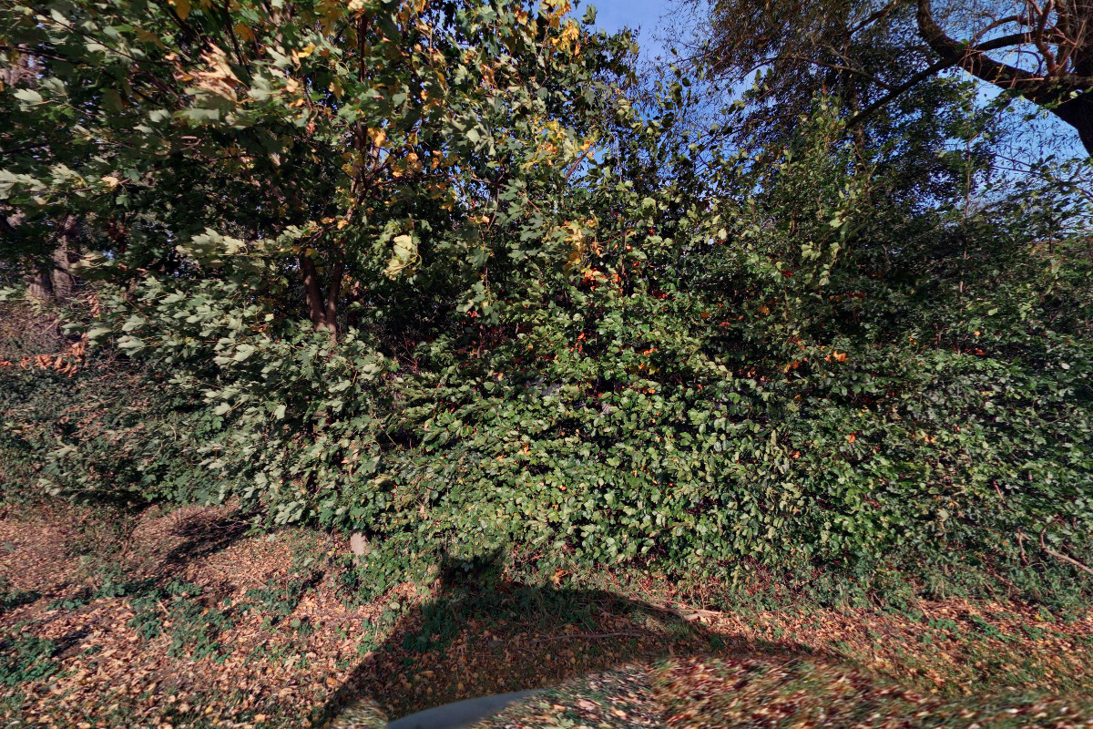 Chata Filipovo údolí foto 3