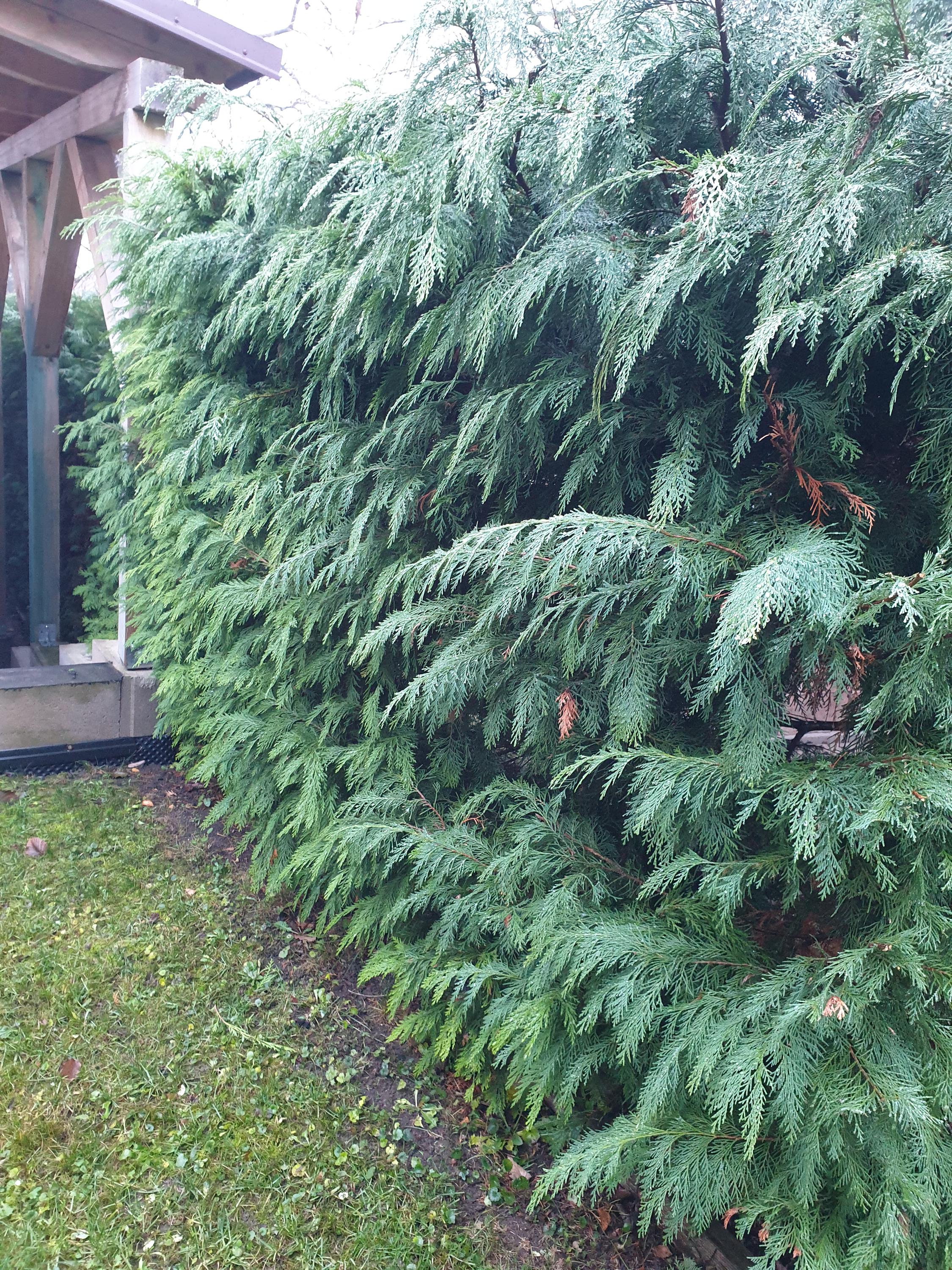 Jaroslav Henzl - Hodinový manžel foto 4