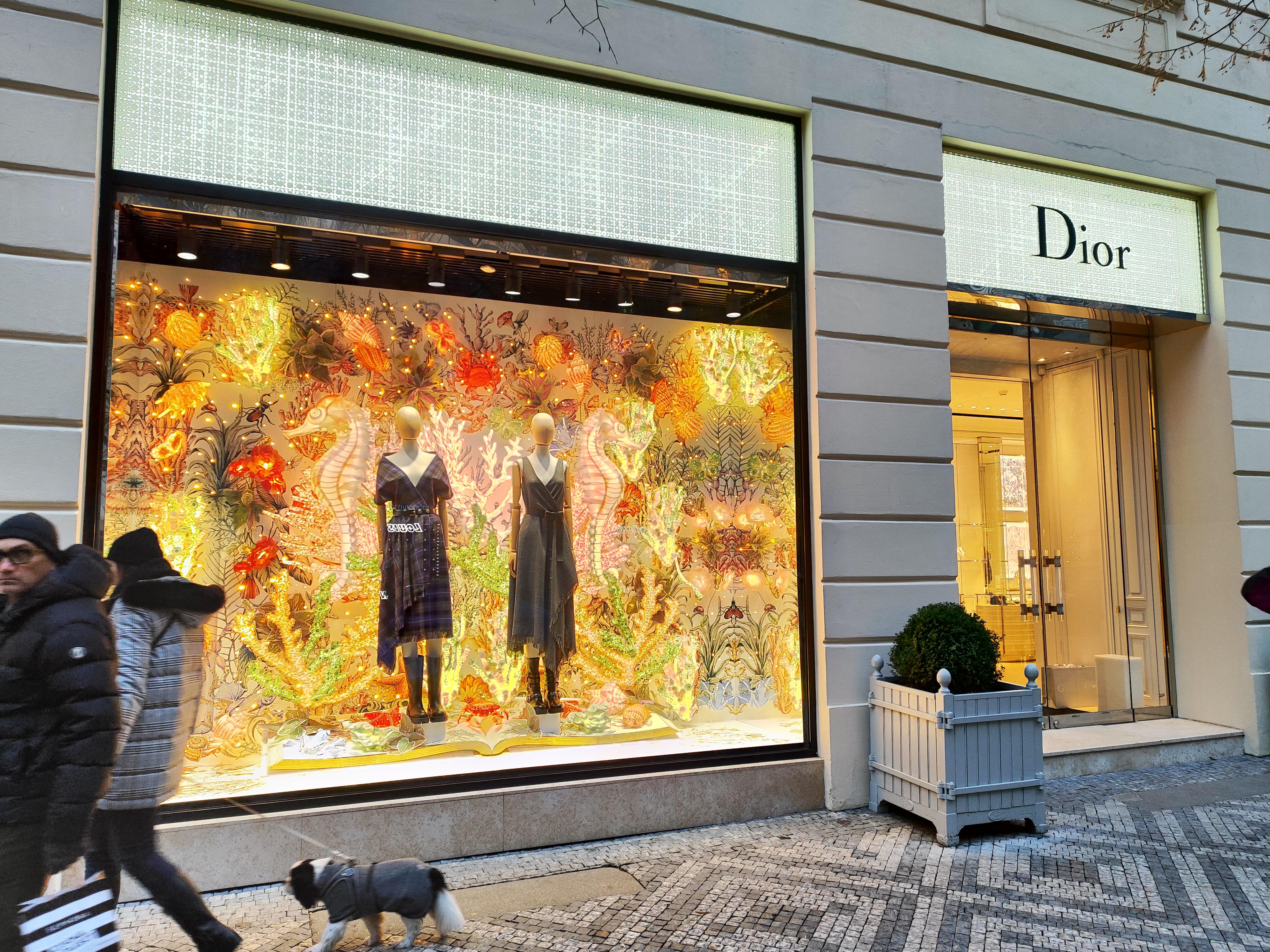 Christian Dior foto 6