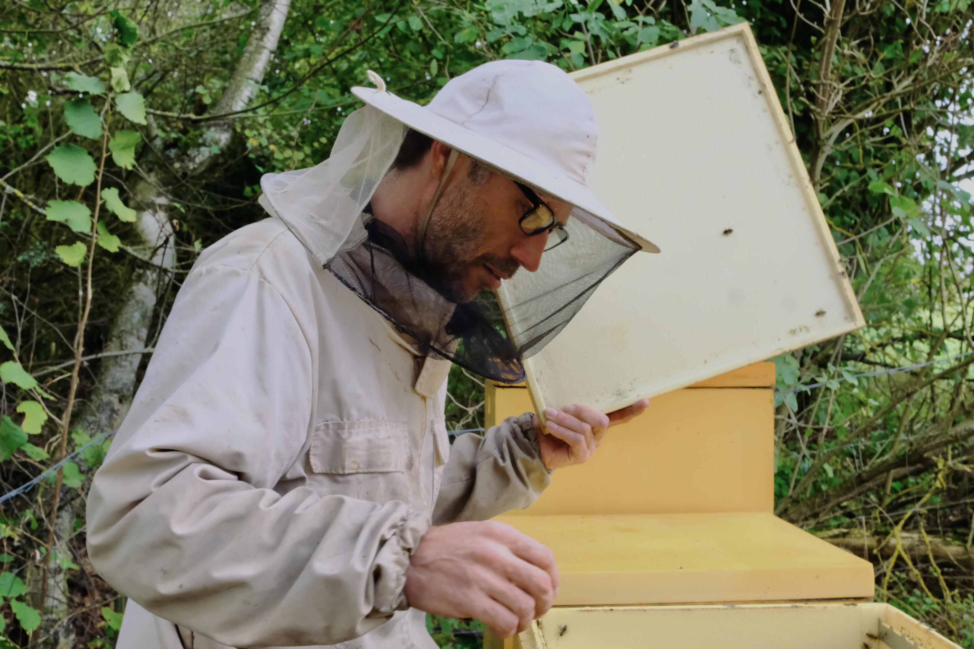 Včelí farma Nečas