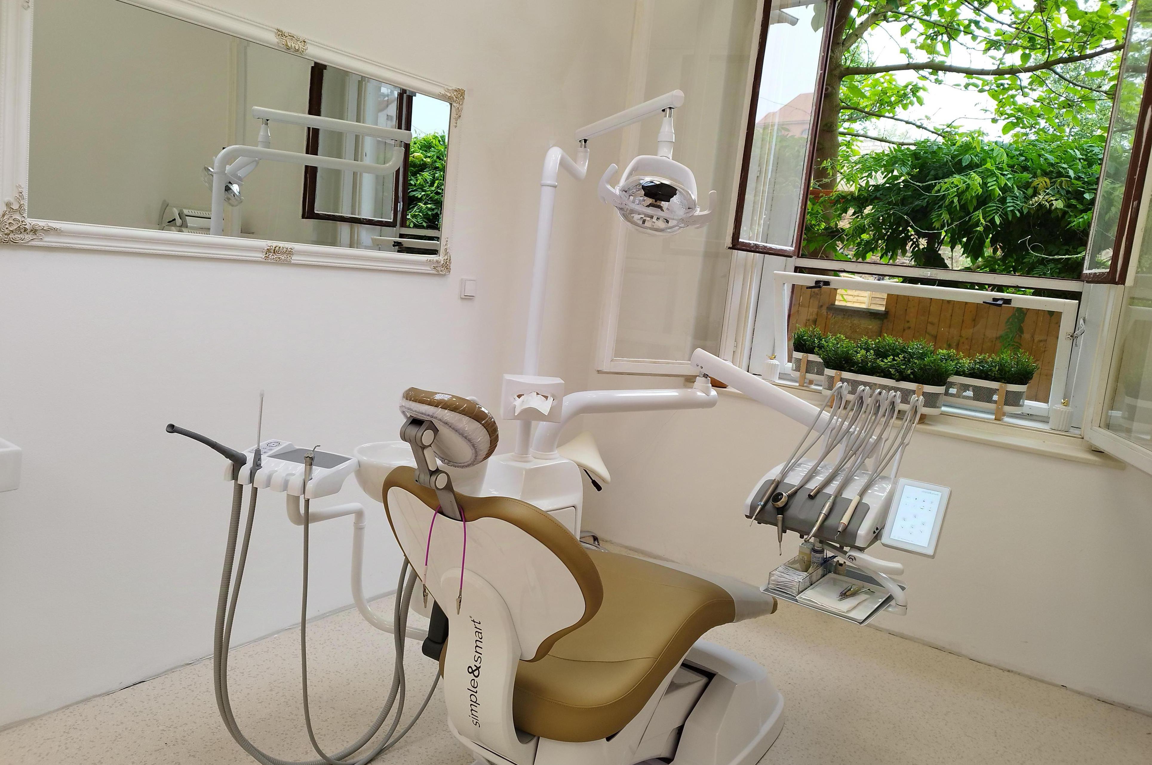 LuciDent profesional