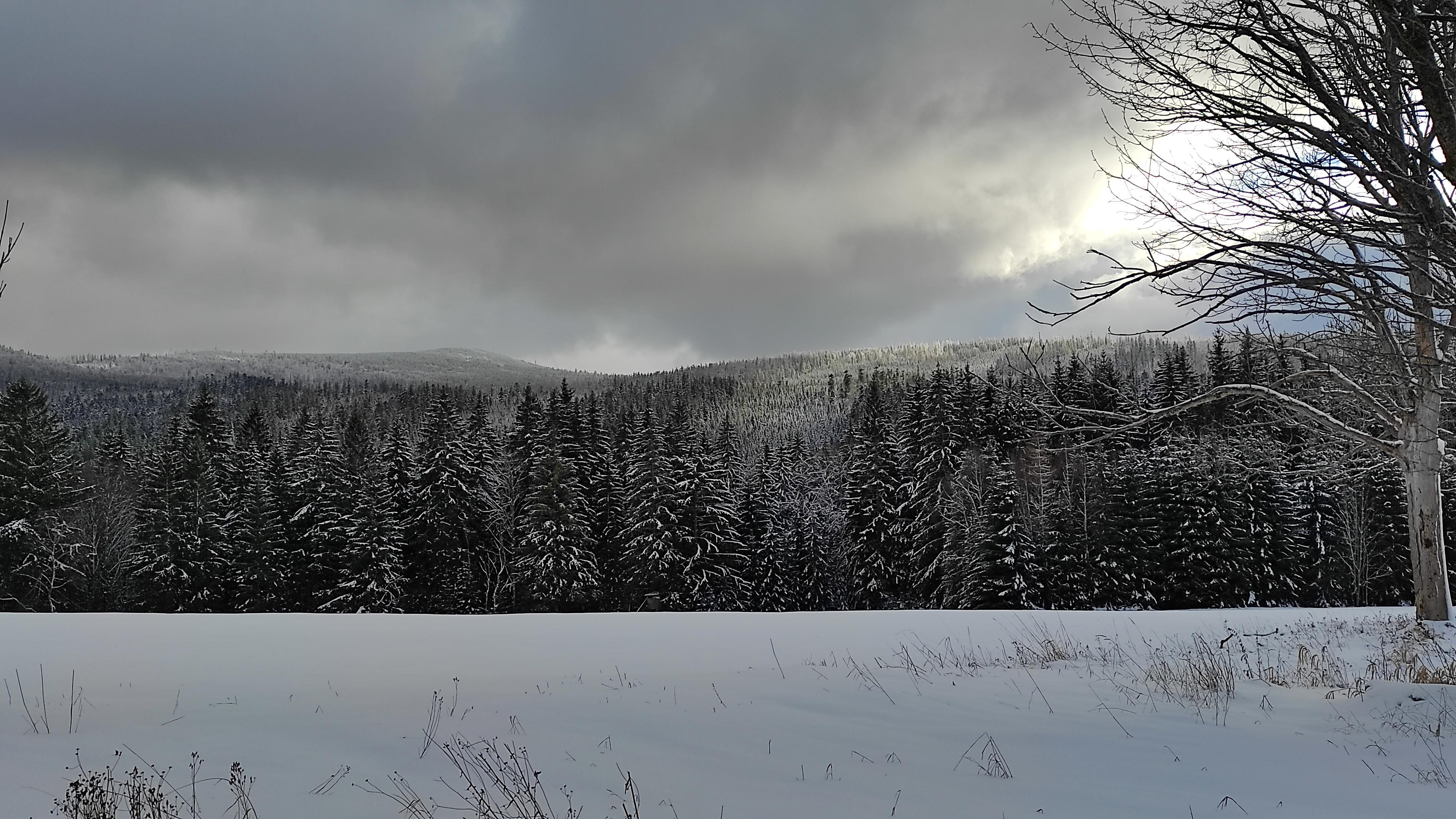 Chatičky v Železné Rudě foto 4