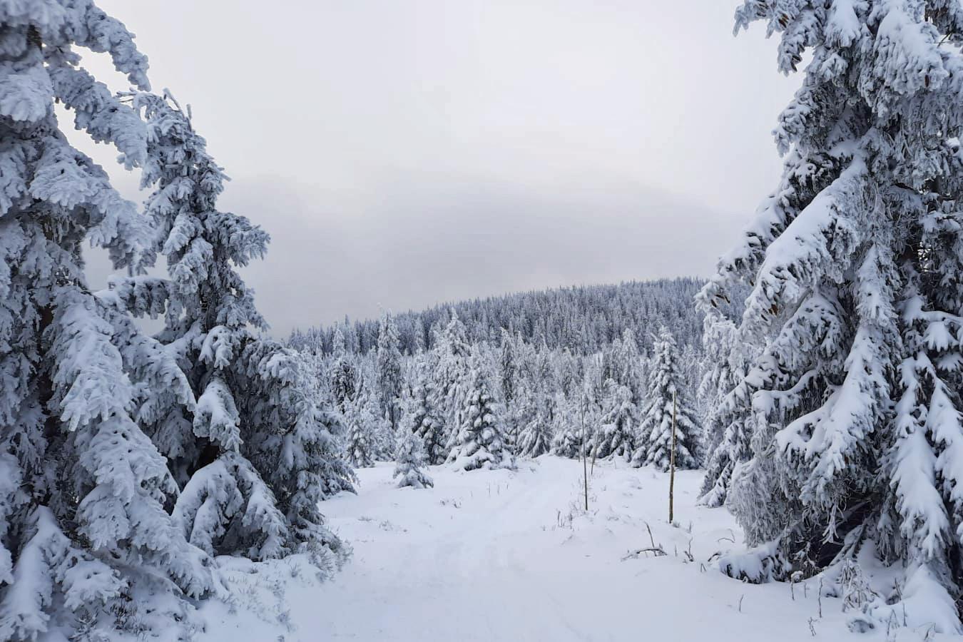 Zima v Krkonoších - Rezervujte nyní!