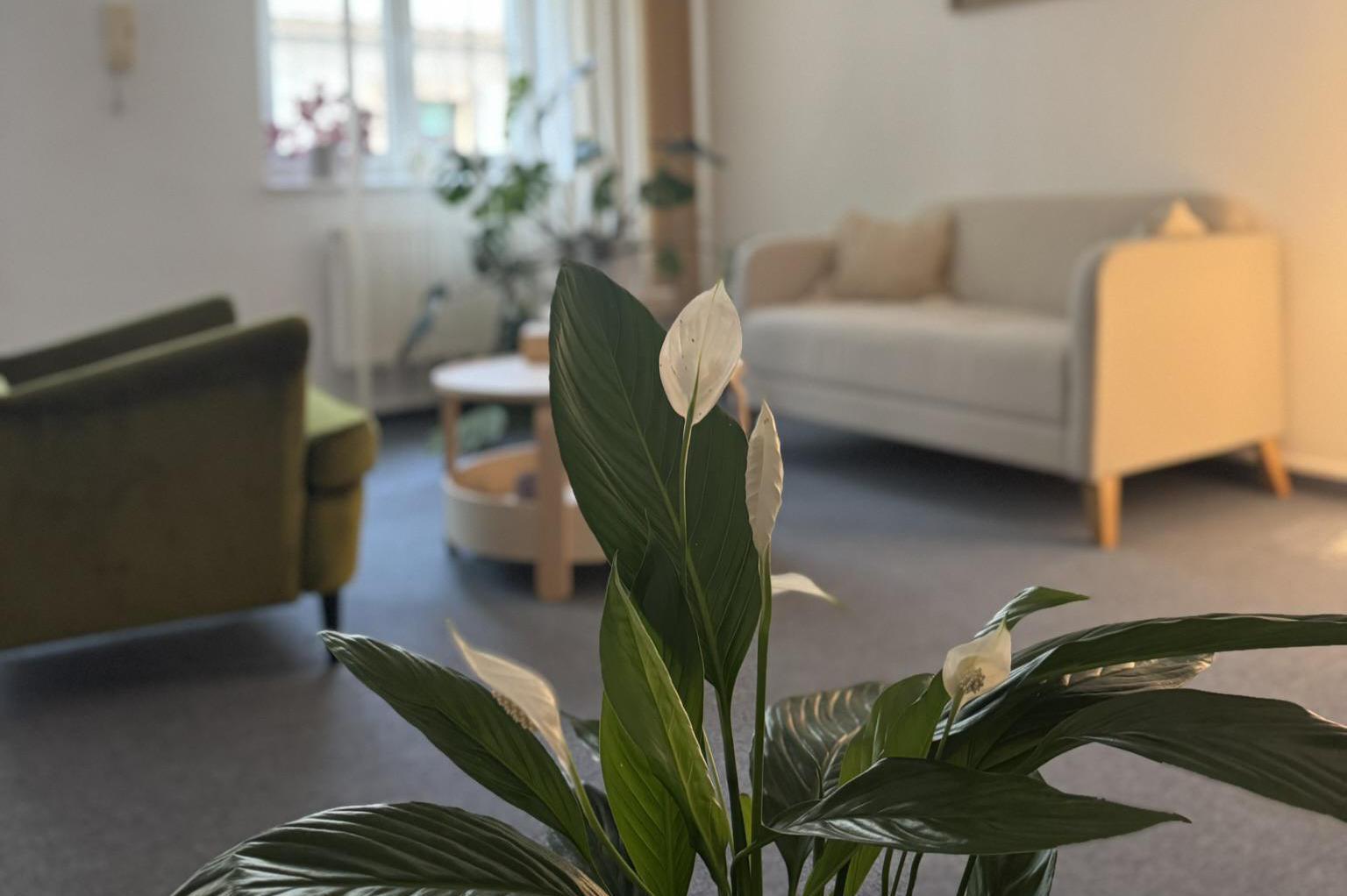 Psycholog & Psychoterapeut Pavel Vozka