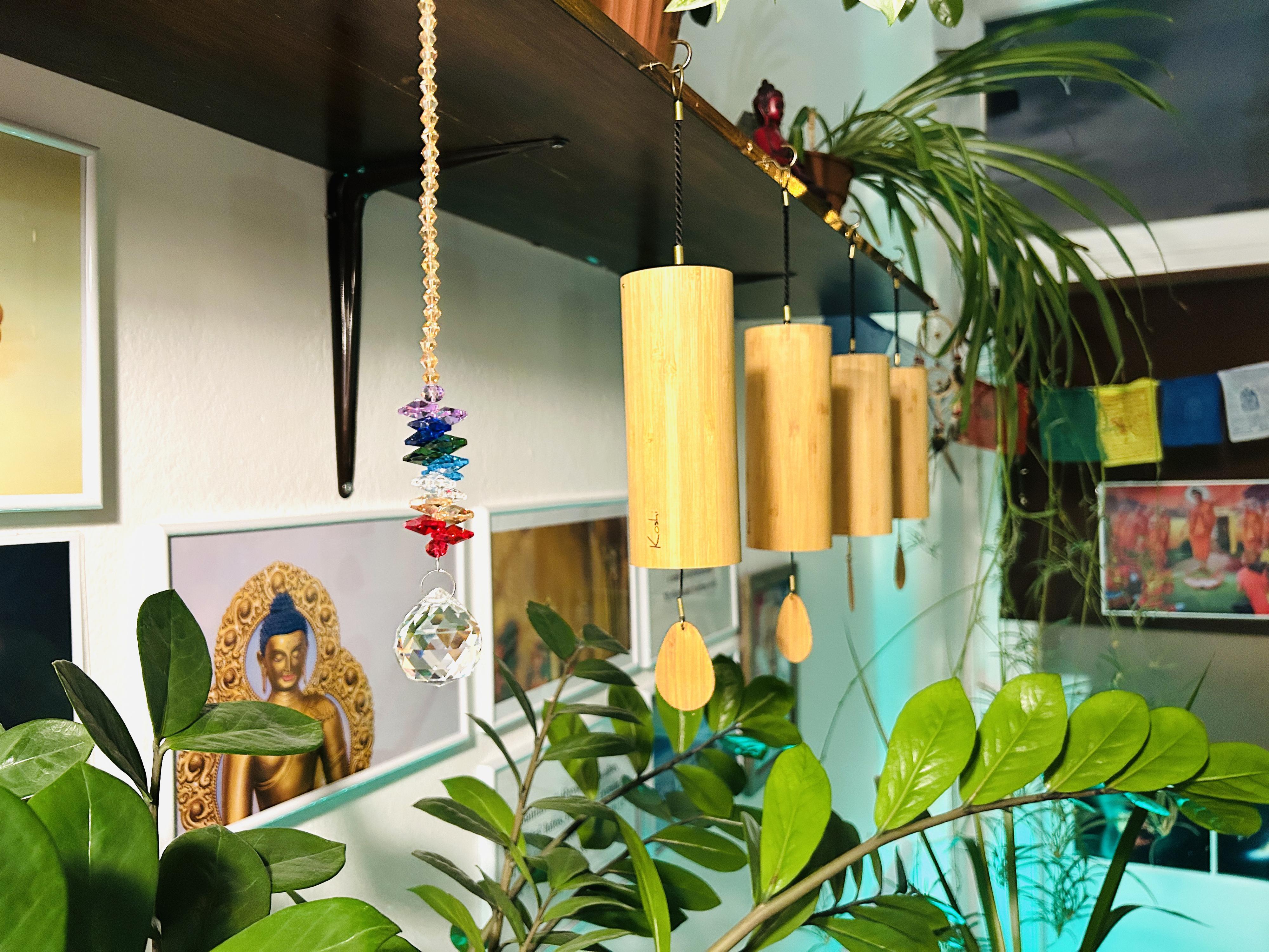 WANG Hranice - Vladimír Hajduk, MBA, LL.M. foto 3