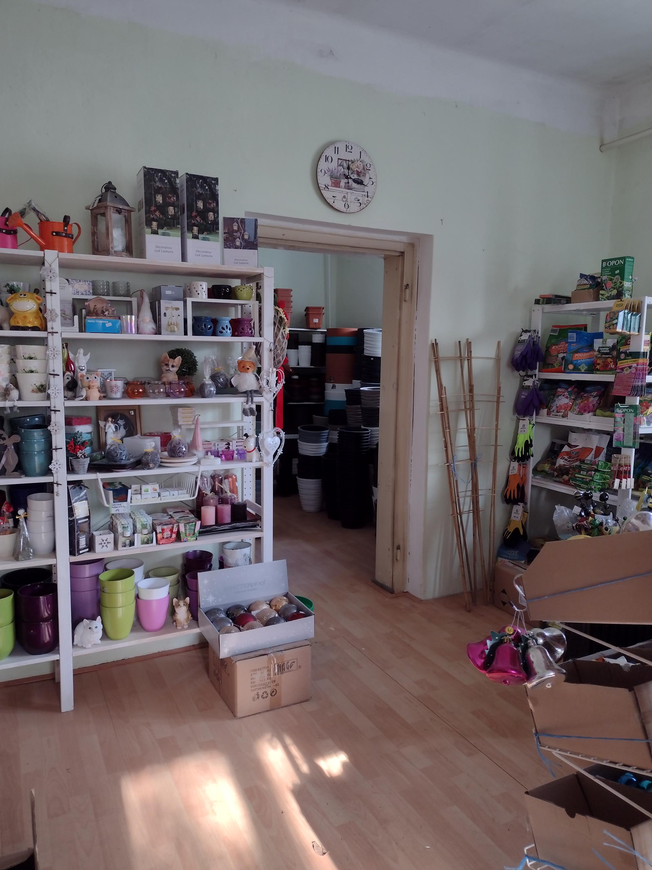 Zahradnictví Sasanka foto 2