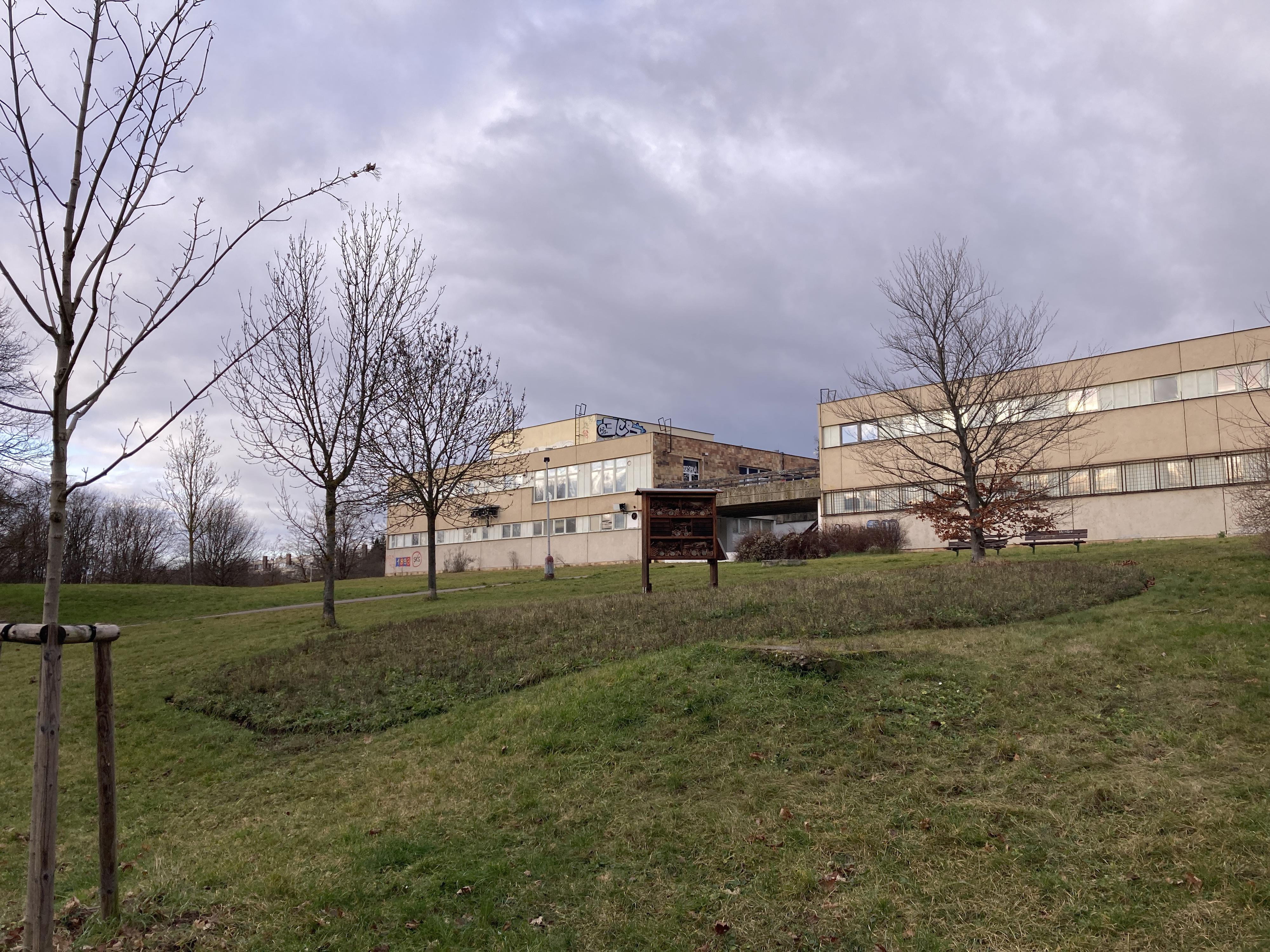 Žabka foto 3