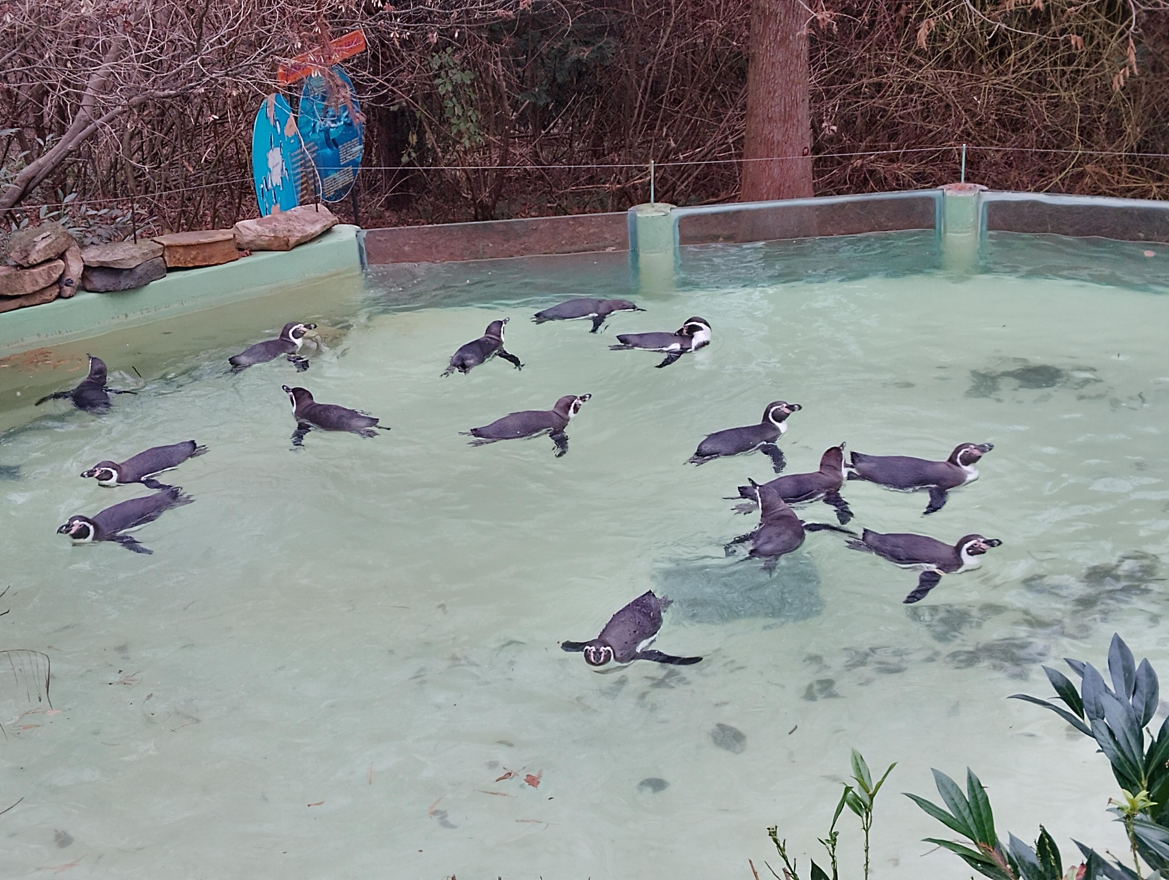 Zoo a zámek Zlín - Lešná foto 5