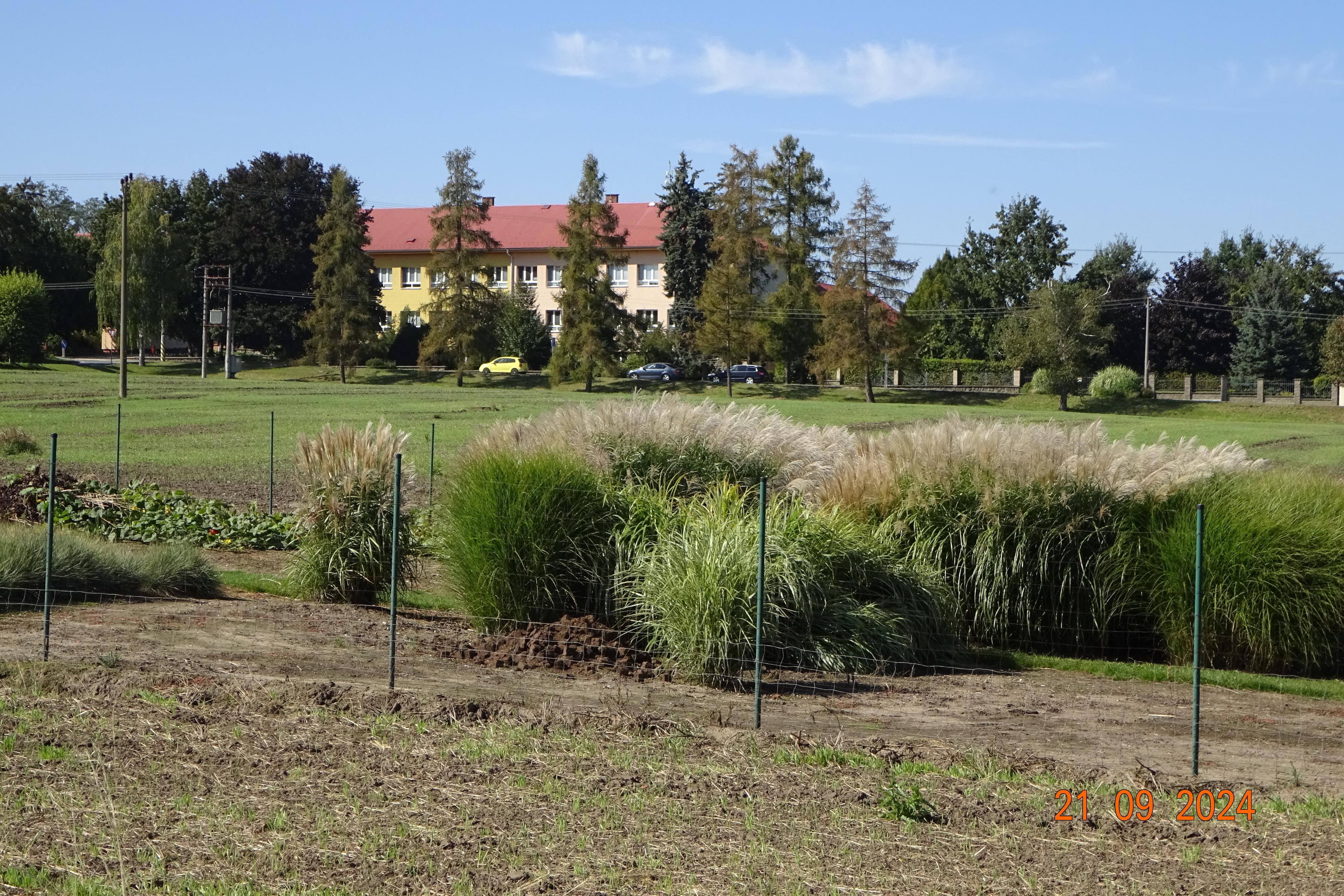 MRVA-okrasné trávy, trvalky s.r.o. foto 3