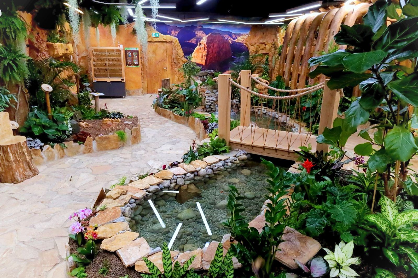 Papilonia – motýlí dům foto 4