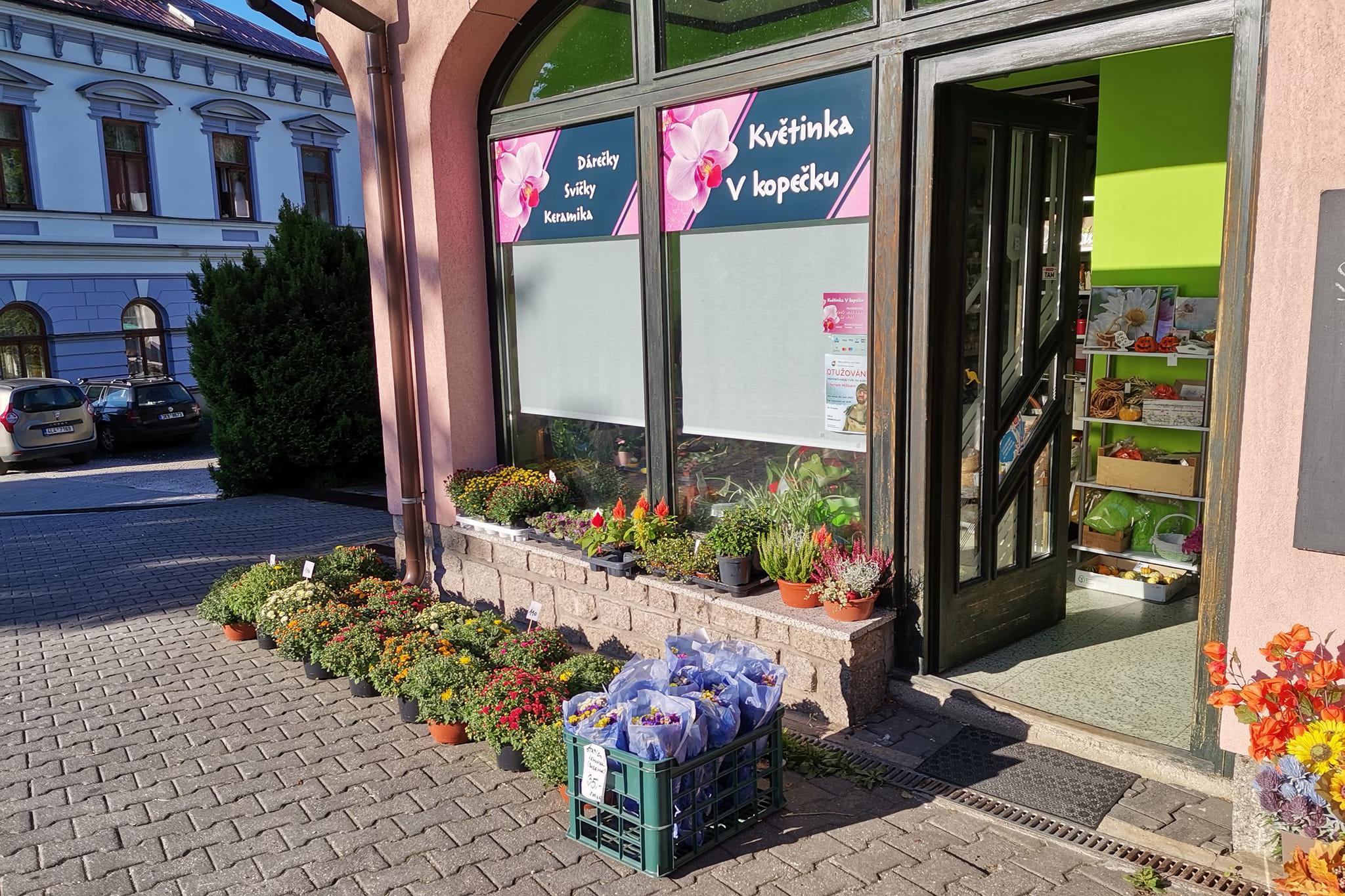 Květinka V kopečku