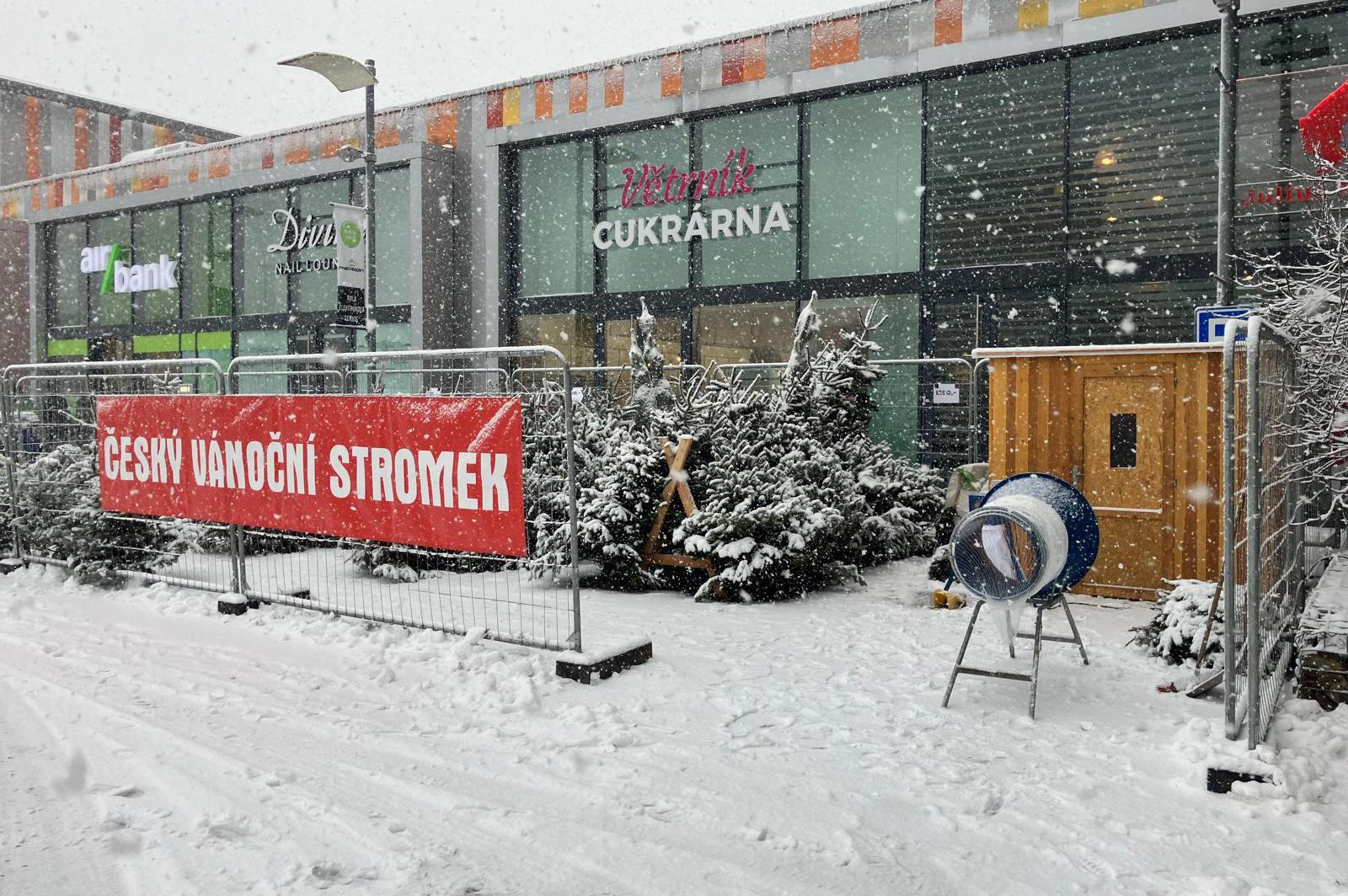 ČESKÝ VÁNOČNÍ STROMEK