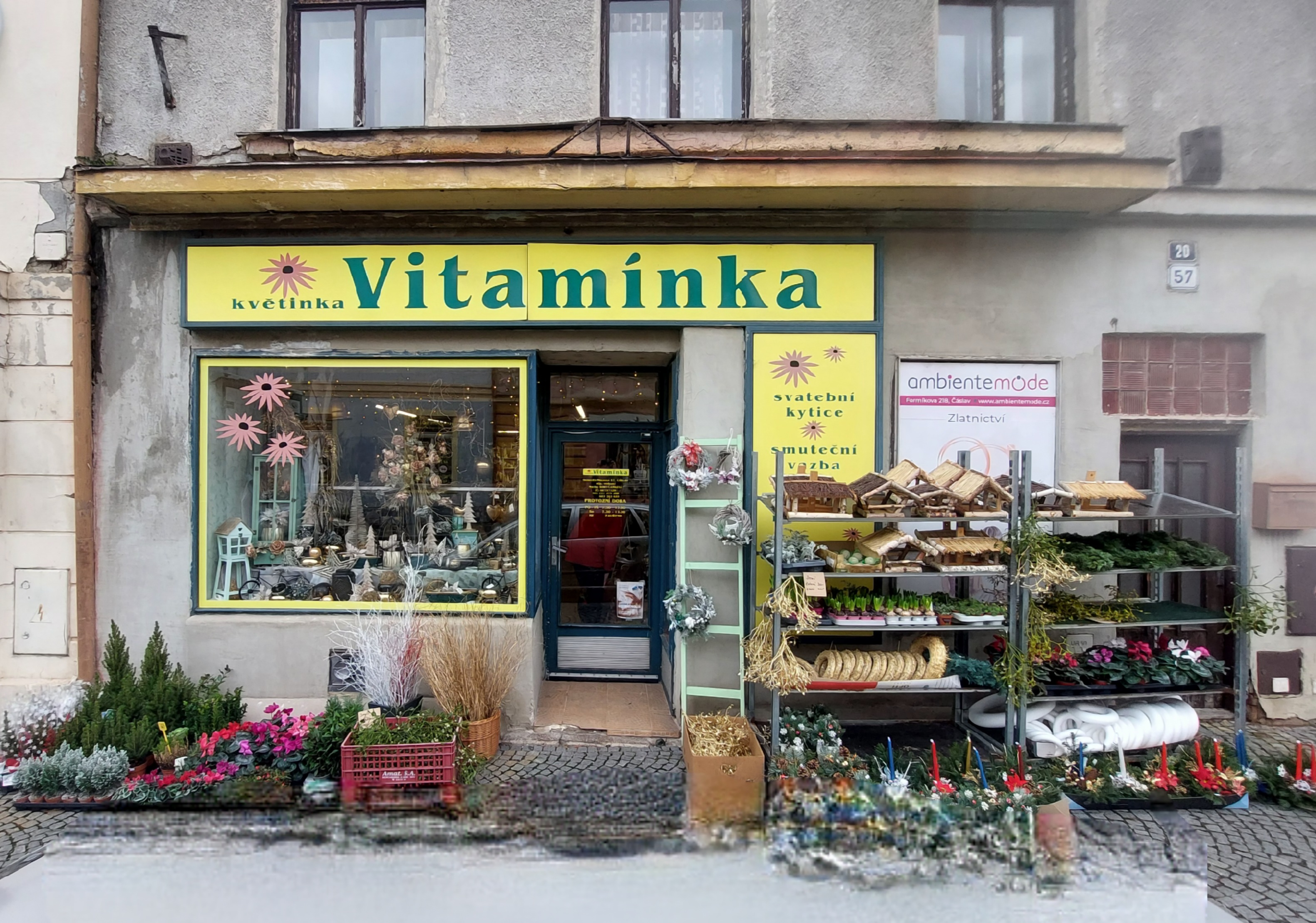 Květinka Vitamínka