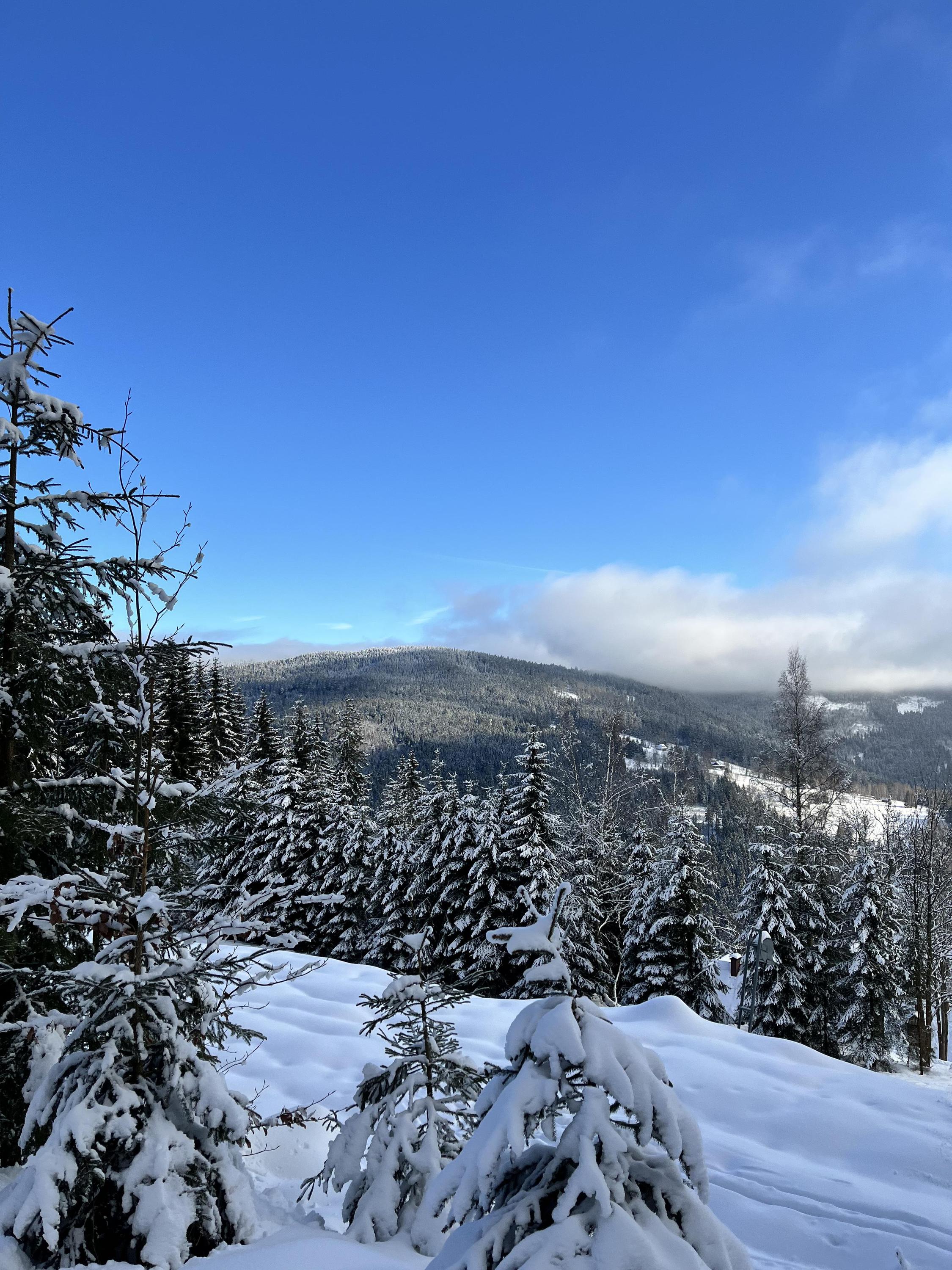 Restaurace Hejmovka foto 3