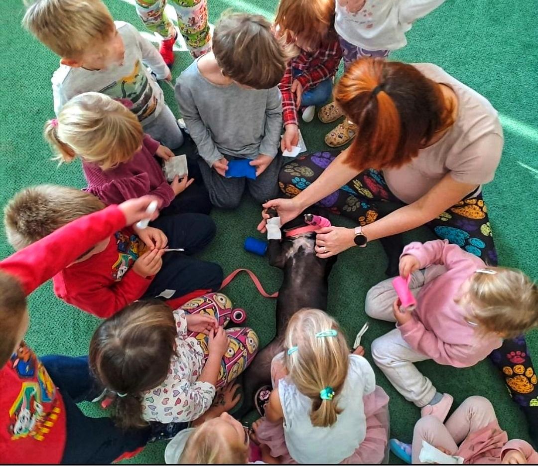 Nikol Terzijska Canisterapie