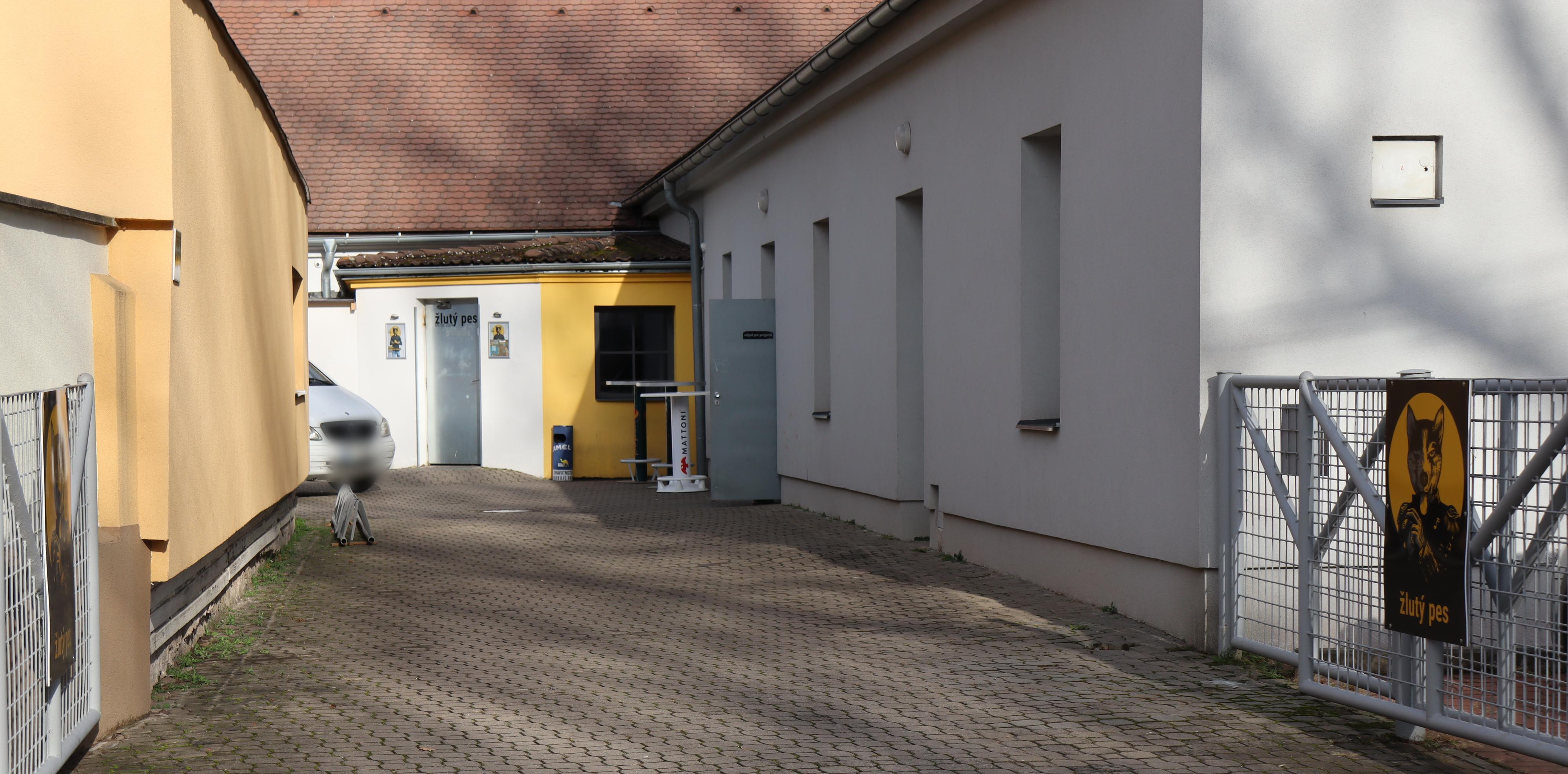 Music club Žlutý pes foto 4