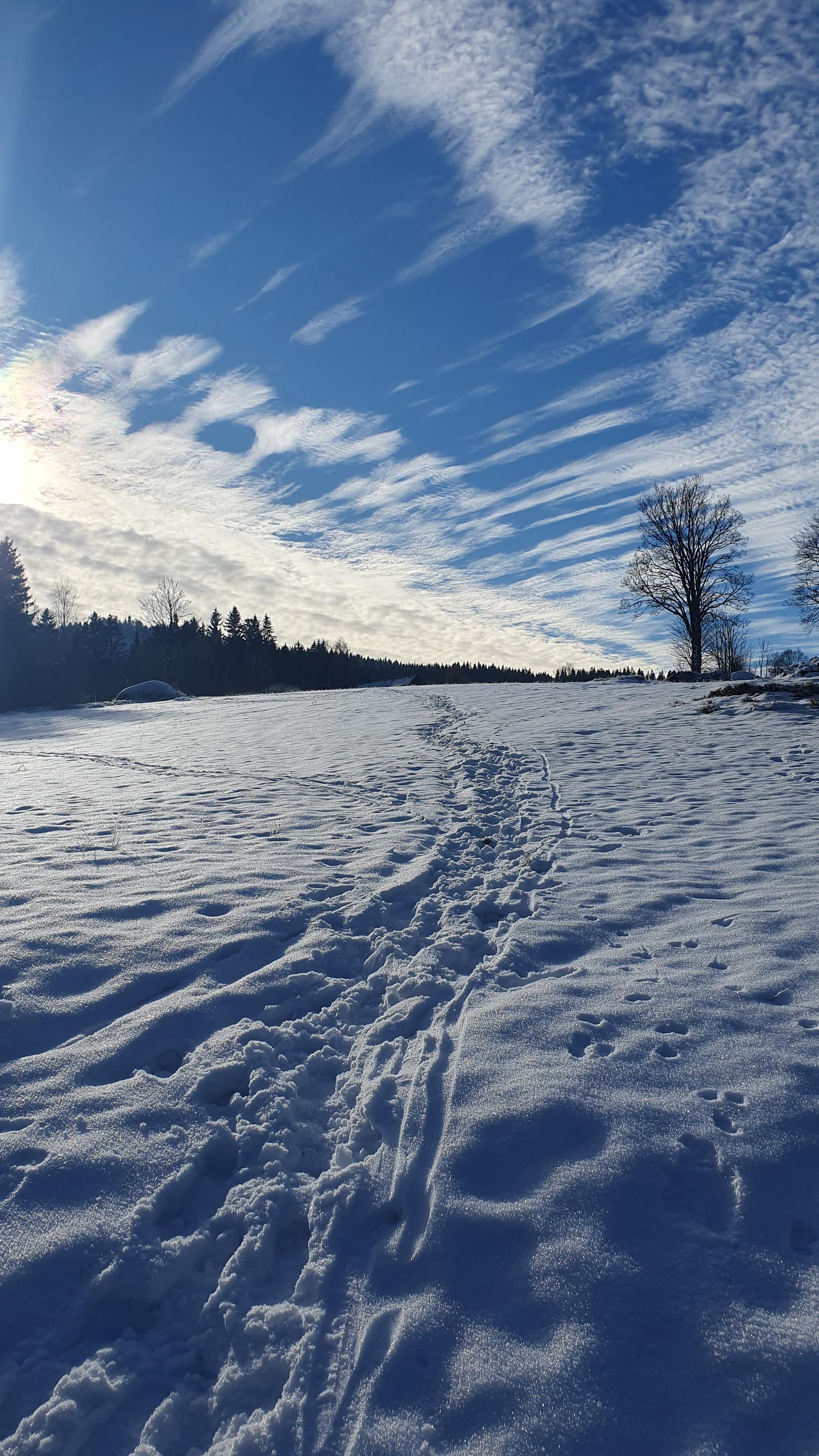 Chaloupka pod lípou foto 4