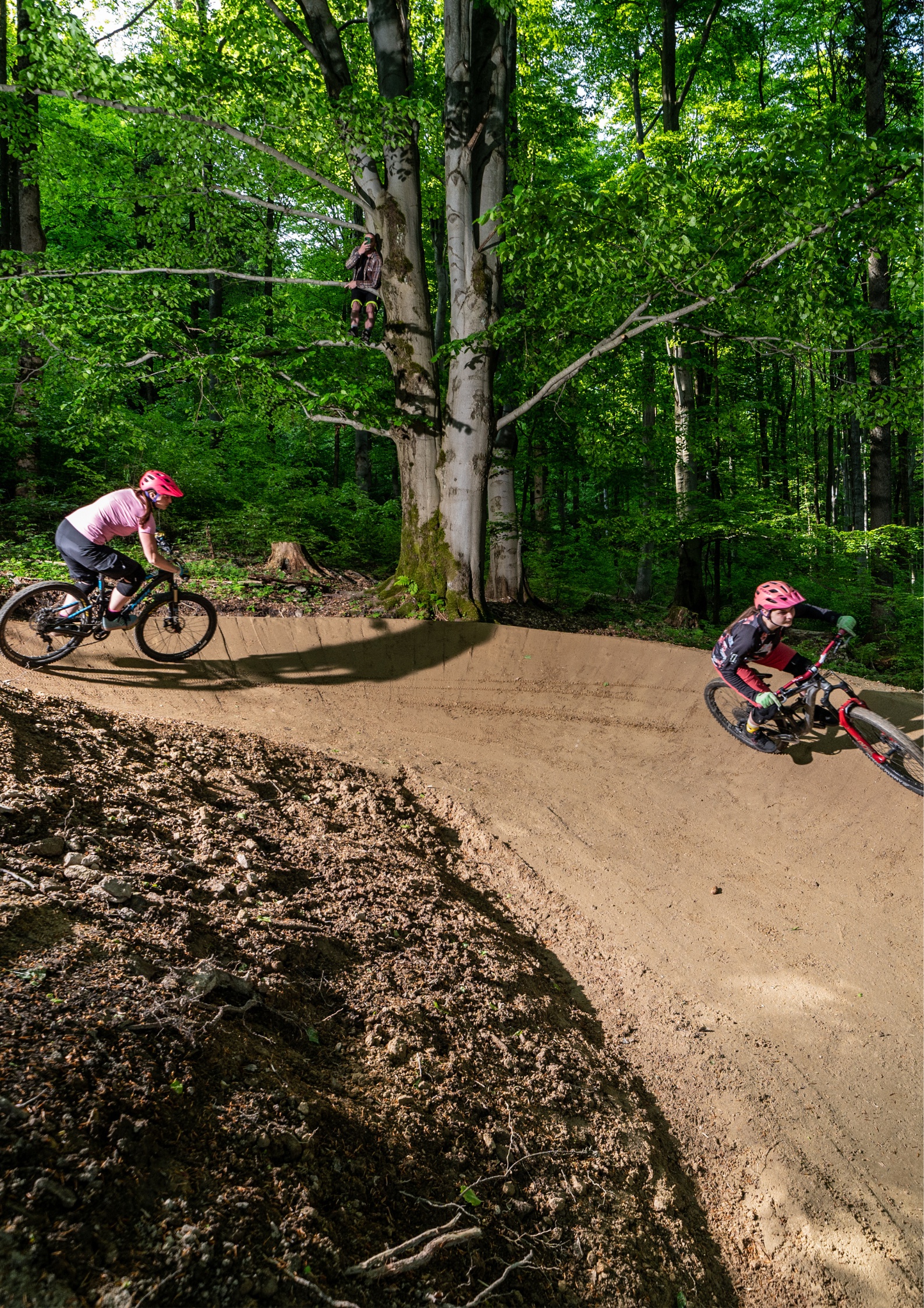 Penzion na Bukové hoře foto 4