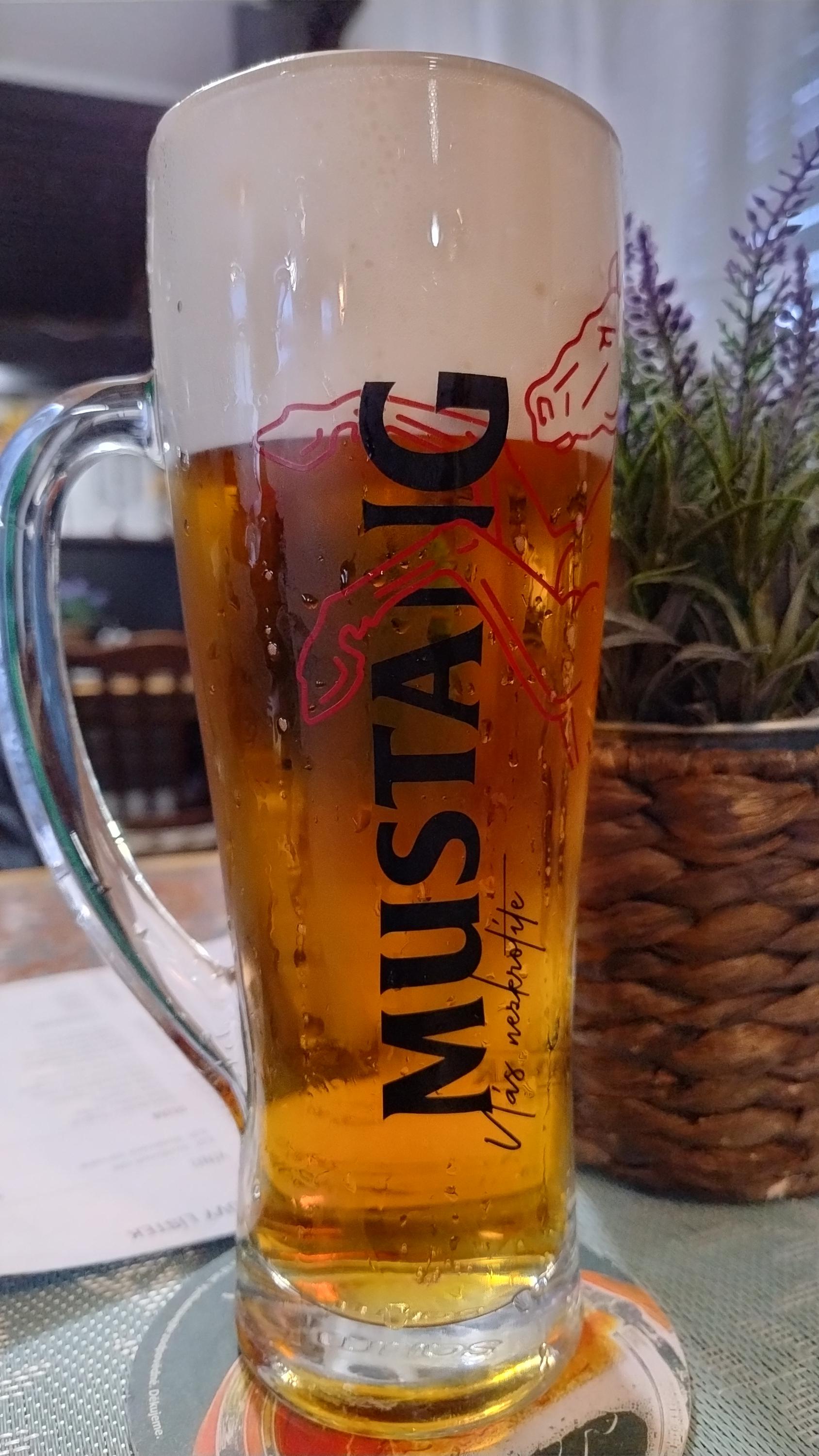 PIVNICE U ŘEKY foto 4