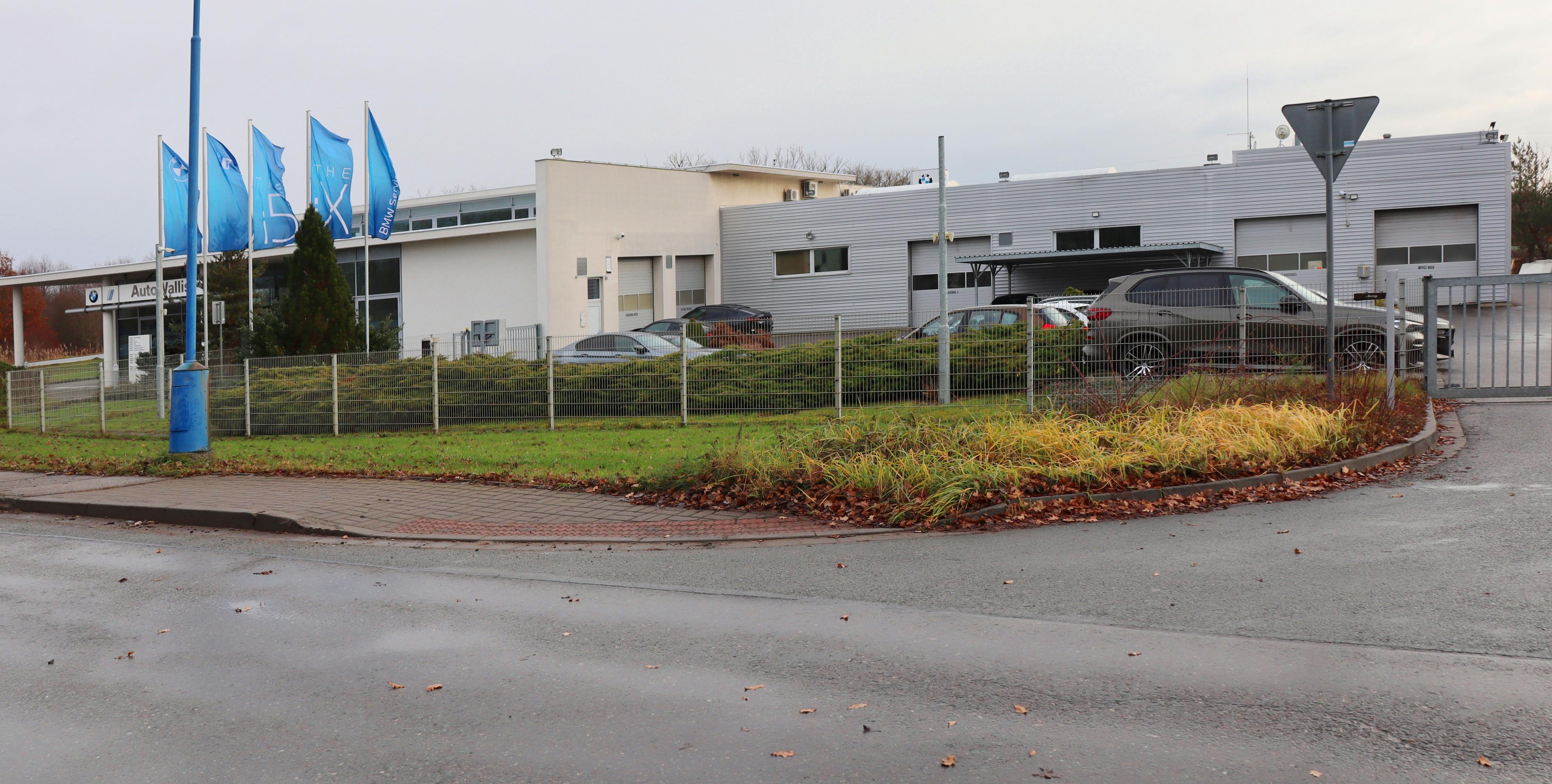 BMW AutoWallis foto 6