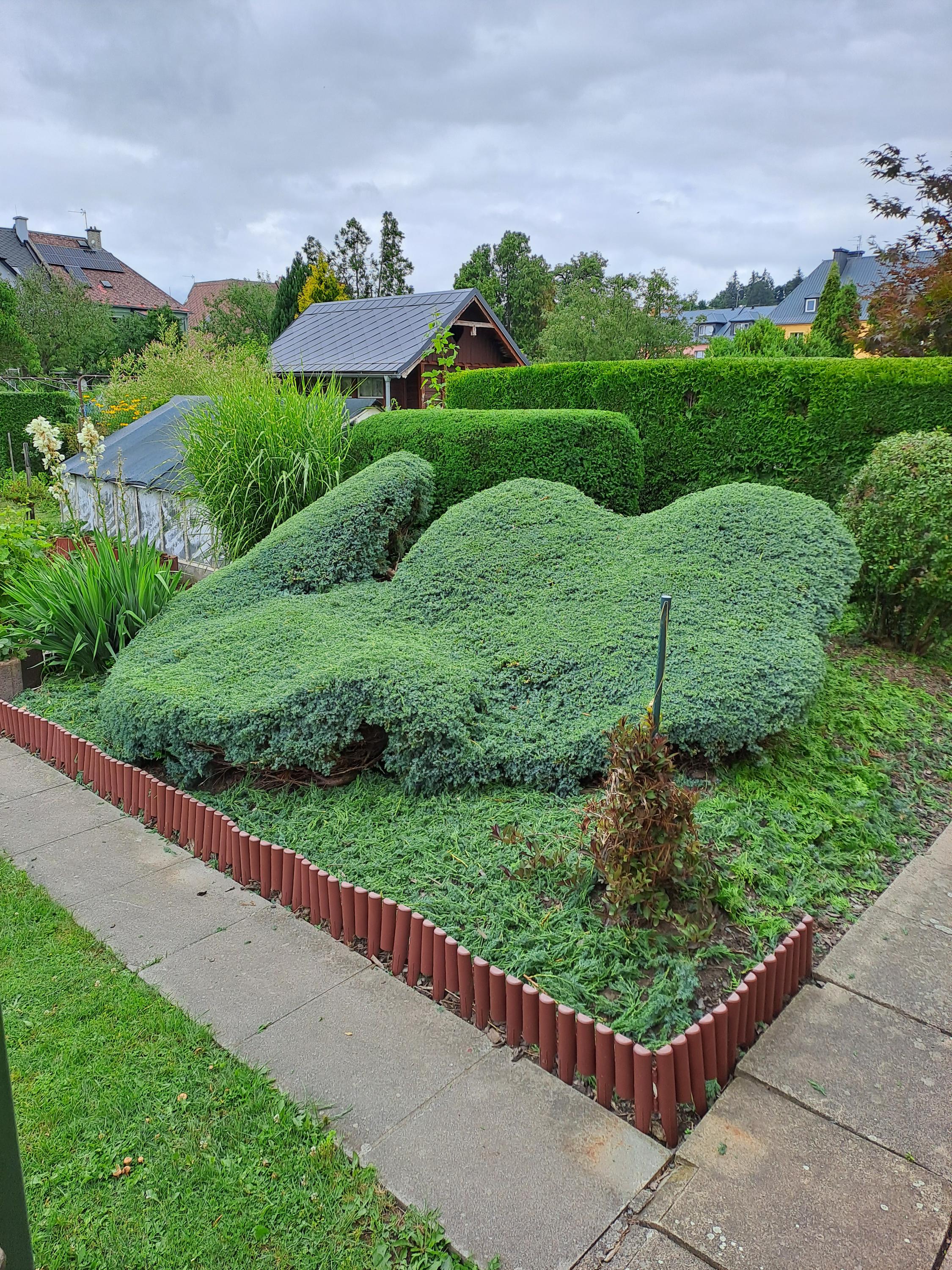 Údržba zeleně Svatopluk Pokorný foto 2