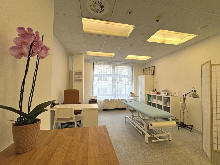 SinoFyzio a Tradiční čínská medicína, TČM - Bc. Xin Wen foto 2