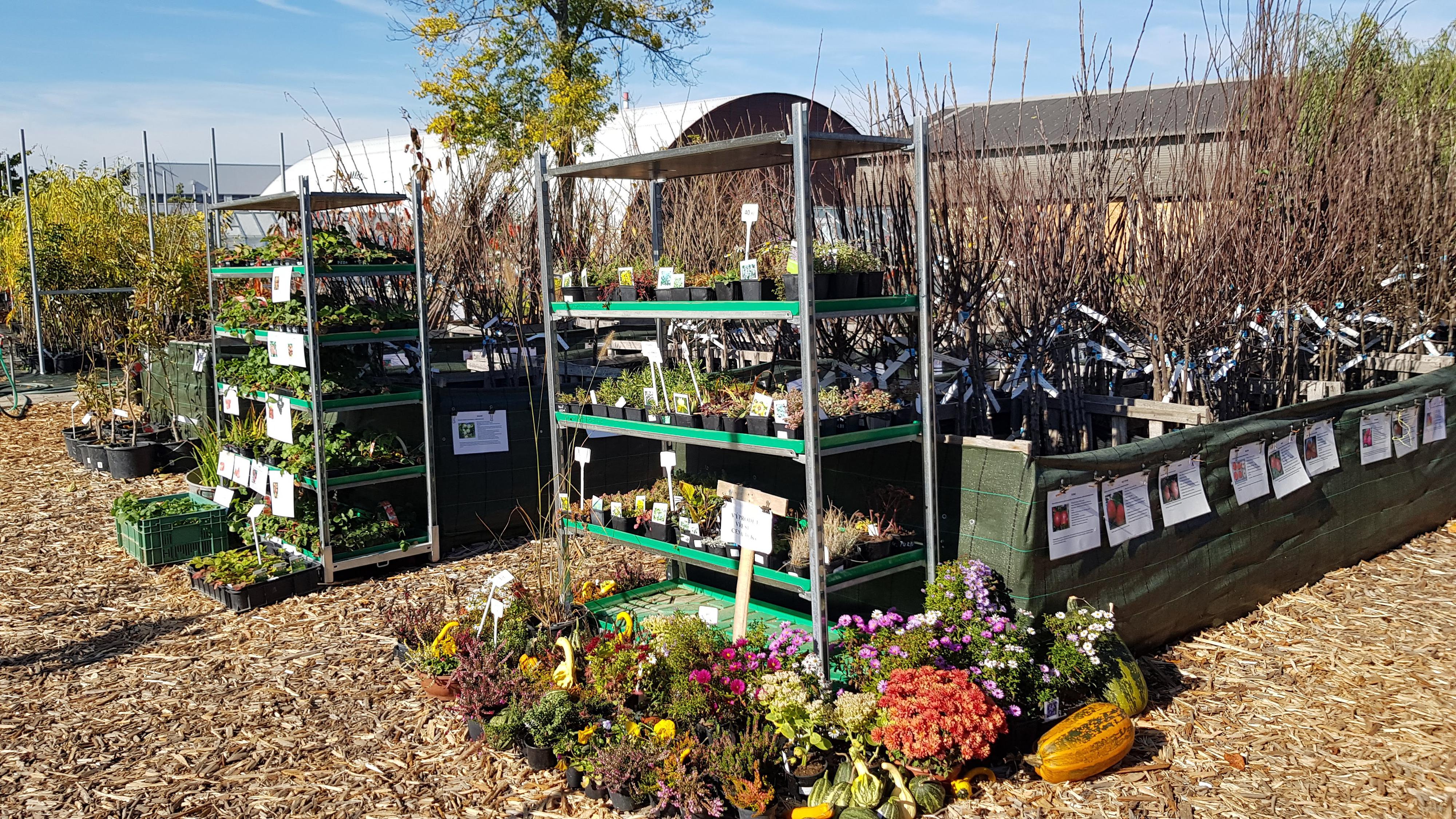 Zahradavystaviste.cz foto 3