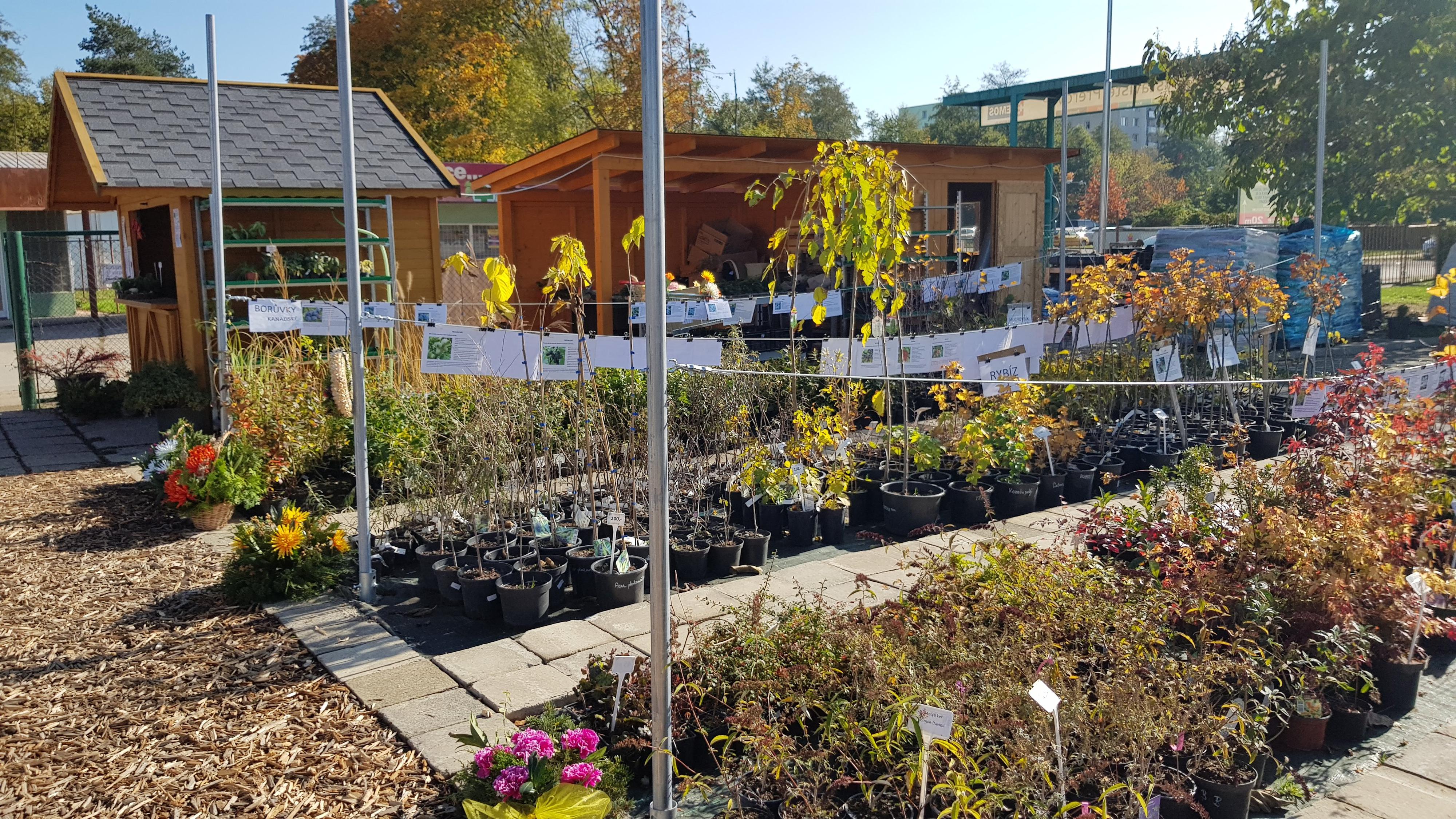 Zahradavystaviste.cz foto 2