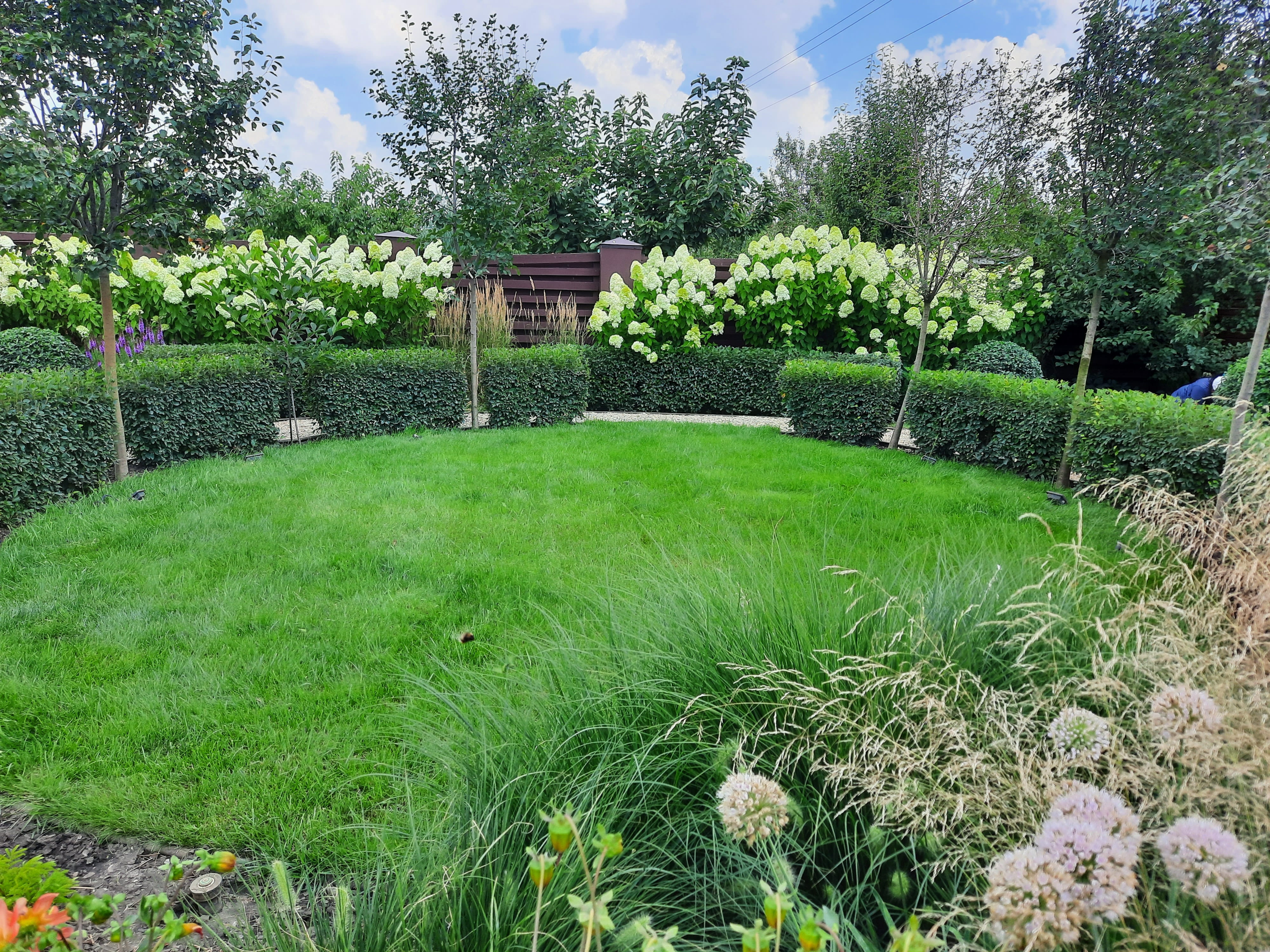 Bc. Svitlana Rudakova - Zahradnické služby foto 3