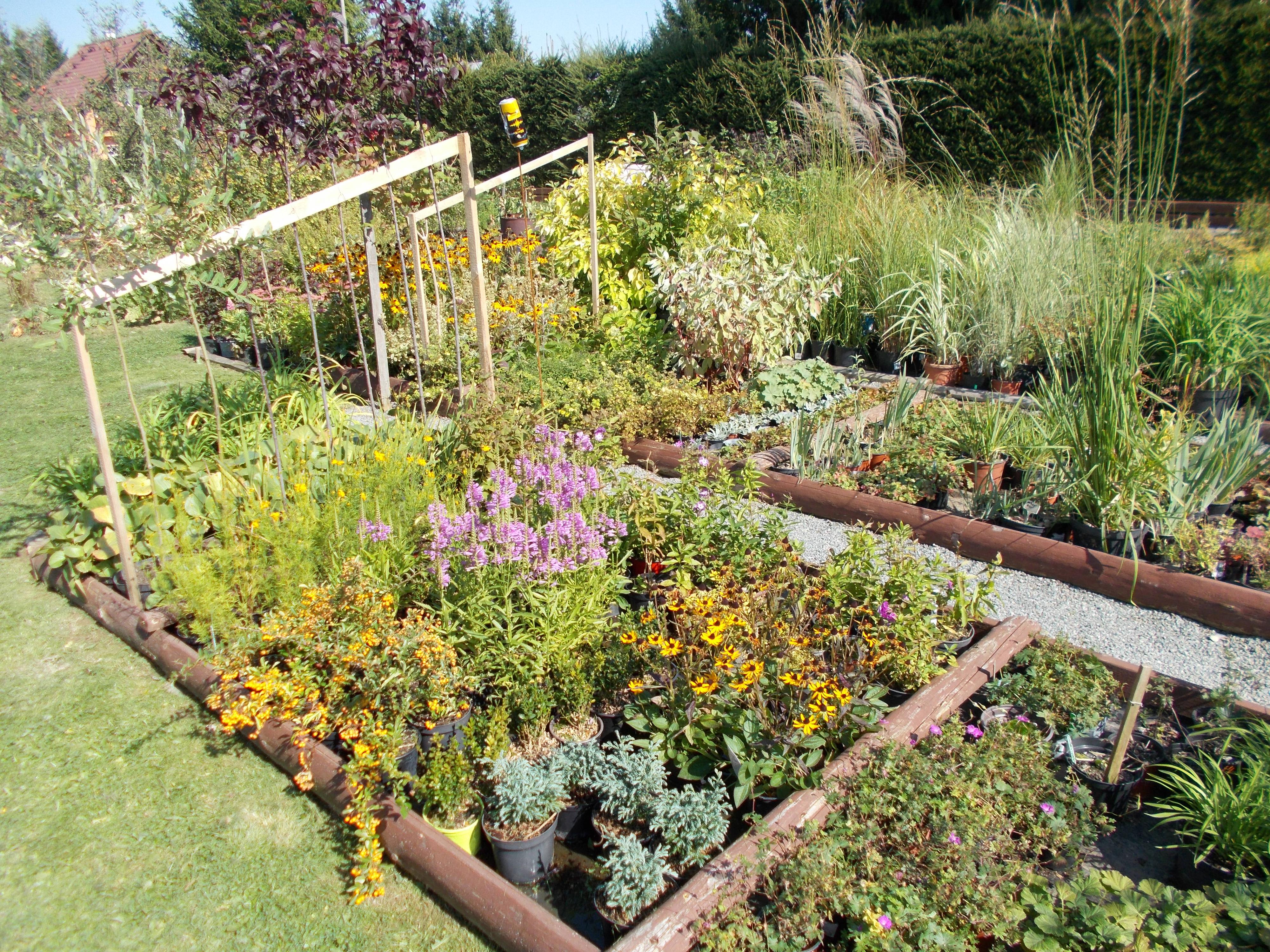 Zahradnická večerka Suchý - Miloš Trefný foto 4