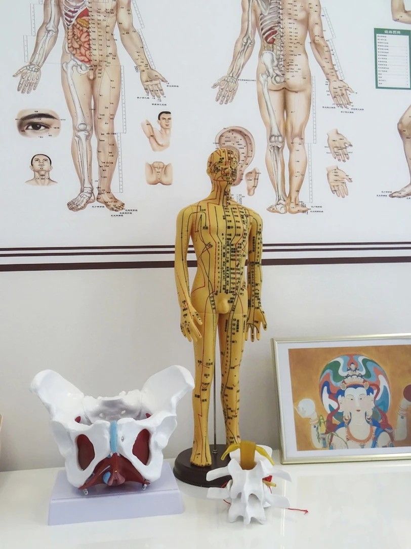 SinoFyzio a Tradiční čínská medicína, TČM - Bc. Xin Wen foto 3