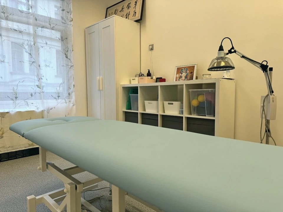 SinoFyzio a Tradiční čínská medicína, TČM - Bc. Xin Wen foto 5
