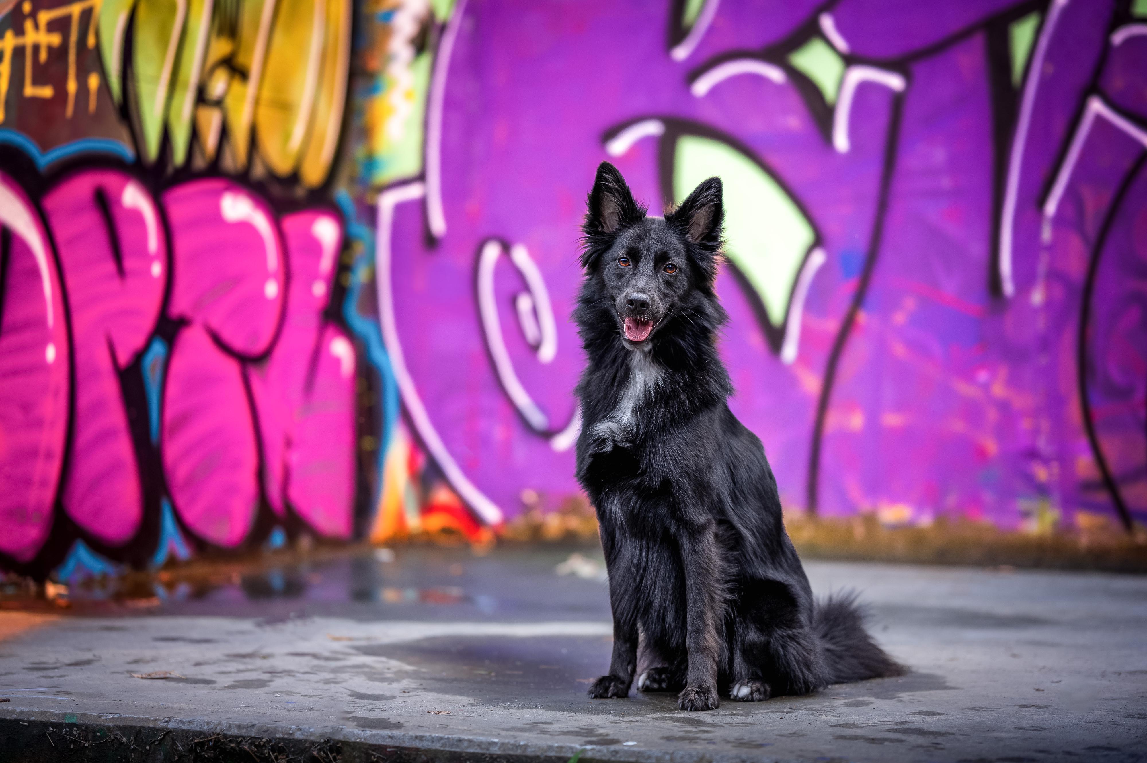 Magdaléna Pavlonová Fotografie foto 4