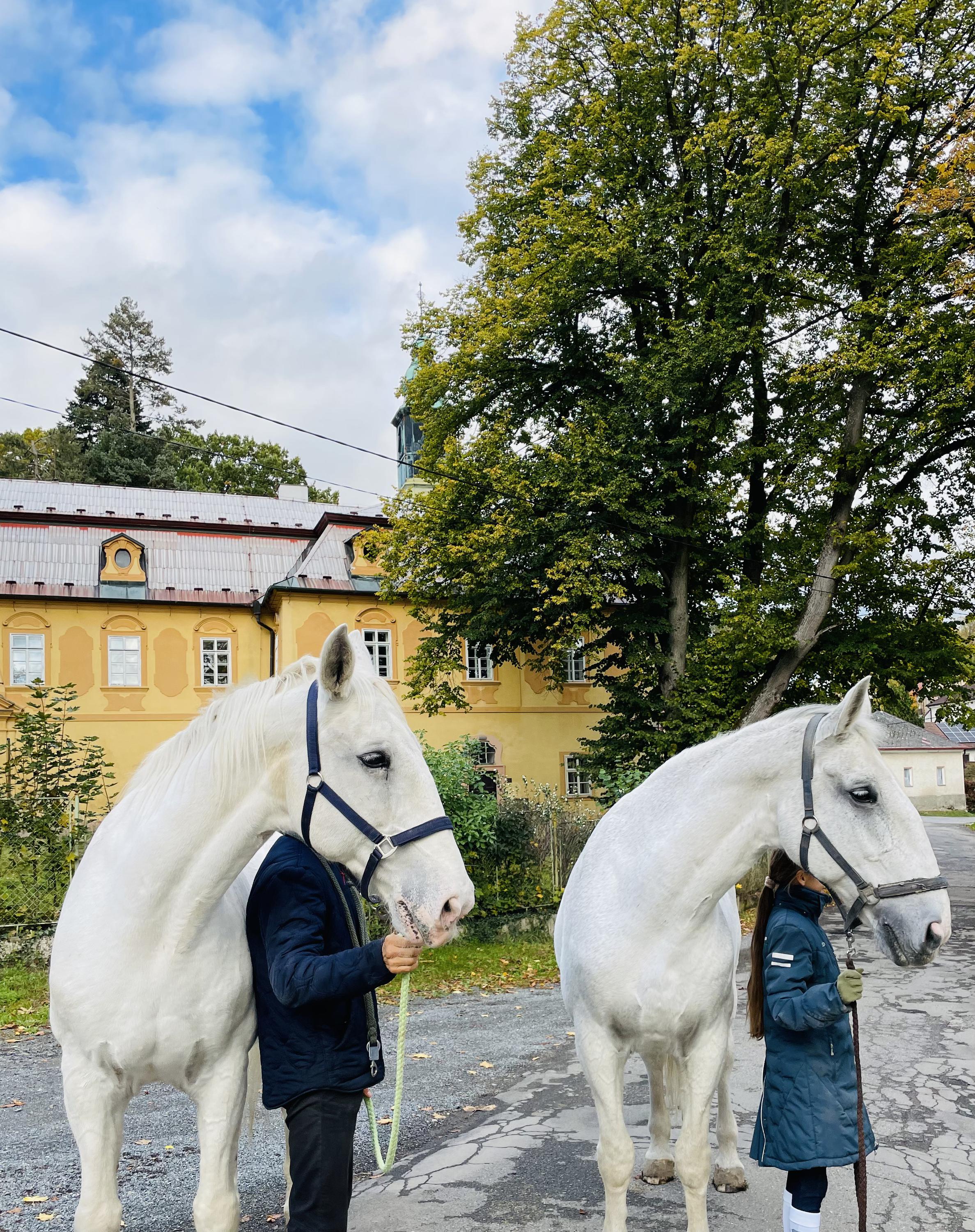 Zámecký hřebčín Lojovice foto 2