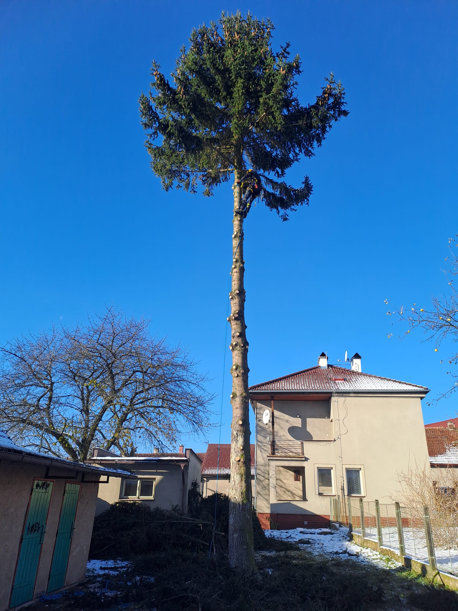 Rizikové kácení Jan Slavík foto 2