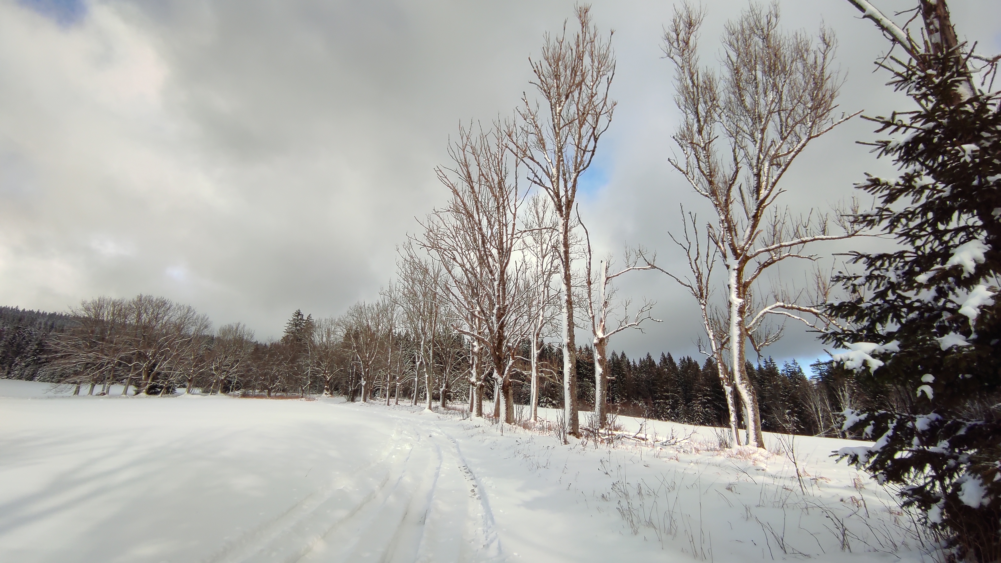 Chatičky v Železné Rudě foto 2